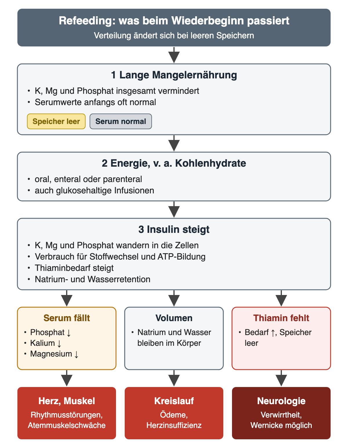Nach langer Mangelernährung sind Kalium, Magnesium und Phosphat insgesamt vermindert, die Serumwerte aber oft noch normal. Neue Energie, vor allem Kohlenhydrate, oral, enteral, parenteral oder als glukosehaltige Infusion, lässt Insulin steigen. Kalium, Magnesium und Phosphat wandern in die Zellen und werden für Stoffwechsel und ATP-Bildung verbraucht; der Thiaminbedarf steigt, Natrium und Wasser werden zurückgehalten. Drei parallele Äste: fallende Serumwerte führen zu Rhythmusstörungen und Atemmuskelschwäche, die Volumenretention zu Ödemen und Herzinsuffizienz, der Thiaminmangel zu Verwirrtheit bis zur Wernicke-Enzephalopathie.