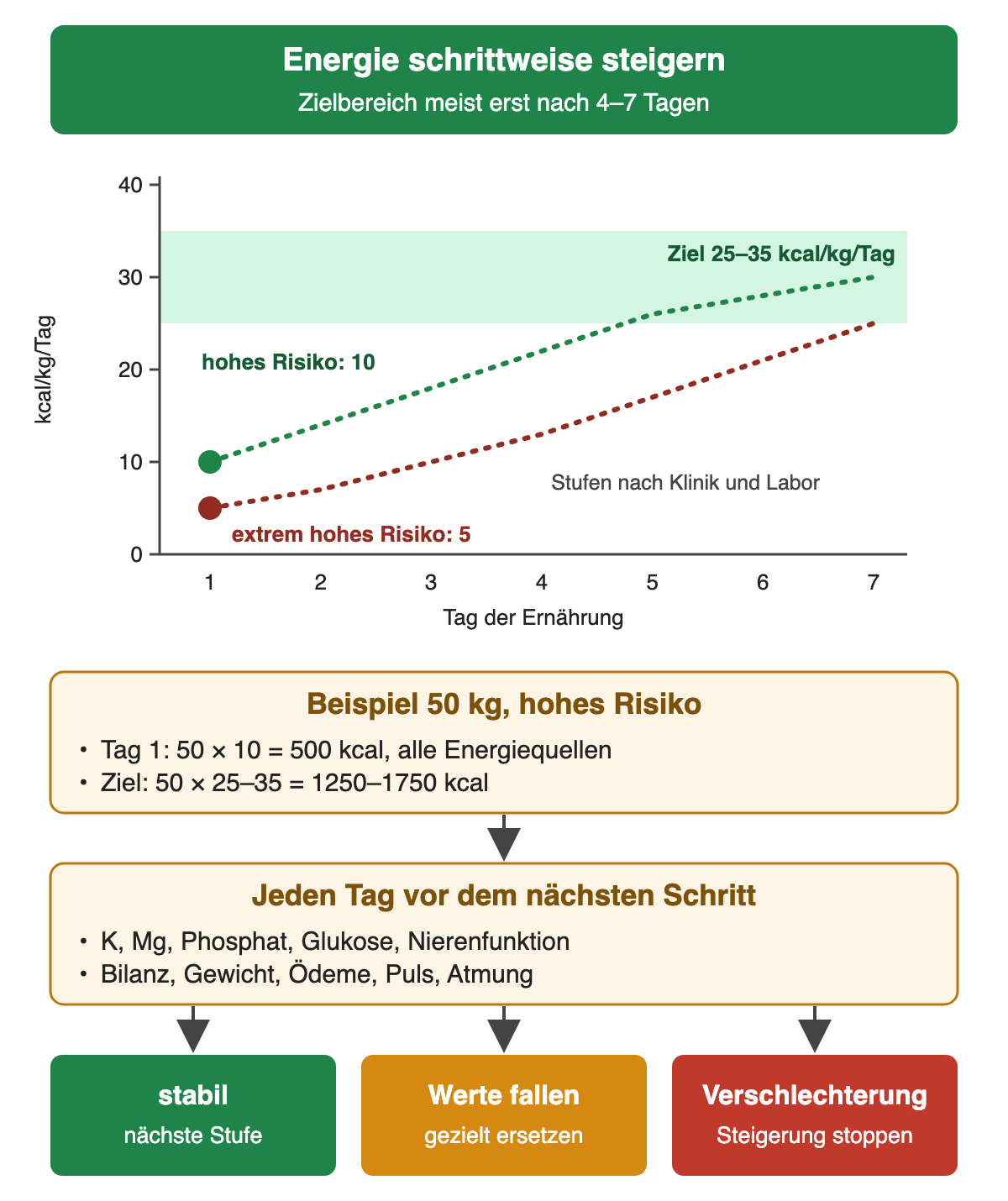 Schematischer Verlauf der Energiezufuhr in kcal pro kg und Tag über sieben Tage: hohes Risiko beginnt bei 10, extrem hohes Risiko bei 5; die Zwischenstufen richten sich nach Klinik und Labor, der Zielbereich liegt bei 25–35 kcal/kg/Tag. Beispiel 50 kg mit hohem Risiko: Tag 1 50 mal 10 gleich 500 kcal aus allen Energiequellen, Ziel 50 mal 25–35 gleich 1250–1750 kcal. Vor jedem Schritt täglich Kalium, Magnesium, Phosphat, Glukose und Nierenfunktion sowie Bilanz, Gewicht, Ödeme, Puls und Atmung prüfen. Stabil: nächste Stufe; Werte fallen: gezielt ersetzen; Verschlechterung: Steigerung stoppen.