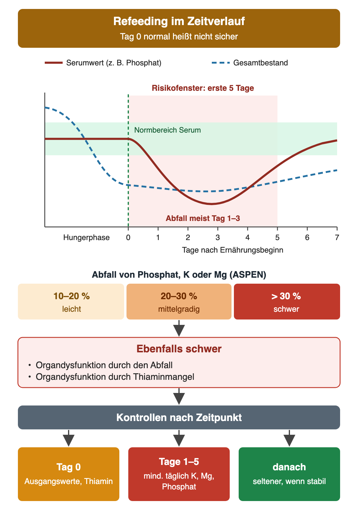 Schematischer Zeitverlauf: In der Hungerphase sinkt der Gesamtbestand im Körper, der Serumwert, zum Beispiel Phosphat, bleibt im Normbereich. Nach Ernährungsbeginn an Tag 0 fällt der Serumwert vor allem an Tag 1 bis 3 unter den Normbereich und erholt sich mit Ersatz langsam; das Risikofenster umfasst die ersten fünf Tage. Darunter die ASPEN-Schweregrade: 10–20 Prozent Abfall leicht, 20–30 Prozent mittelgradig, über 30 Prozent schwer, ebenso schwer bei Organdysfunktion durch den Abfall oder durch Thiaminmangel. Kontrollen: Tag 0 Ausgangswerte und Thiamin, Tage 1 bis 5 mindestens täglich Kalium, Magnesium und Phosphat, danach seltener, wenn stabil.