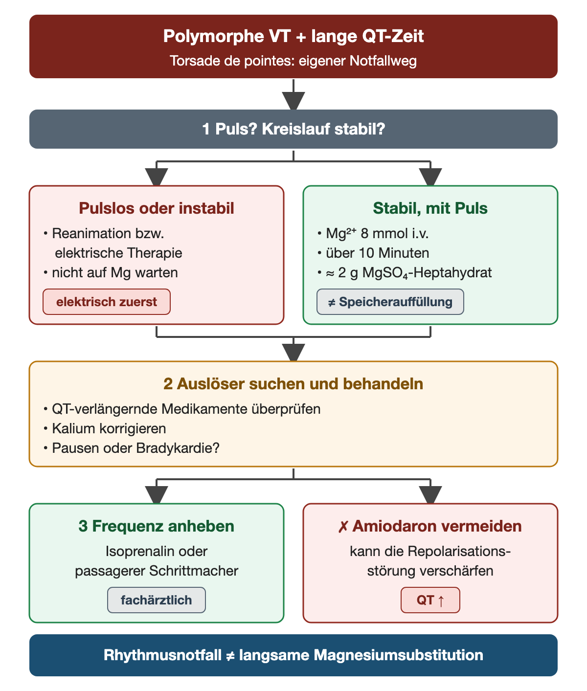 Bei polymorpher Kammertachykardie mit langer QT-Zeit, also Torsade de pointes, werden zuerst Puls und Kreislauf geprüft. Pulslos oder instabil: Reanimation beziehungsweise elektrische Therapie, ohne auf Magnesium zu warten. Stabil mit Puls: 8 mmol Magnesium intravenös über 10 Minuten, etwa 2 g Magnesiumsulfat-Heptahydrat; das ist keine Speicherauffüllung. Danach werden die Auslöser gesucht und behandelt: QT-verlängernde Medikamente überprüfen, Kalium korrigieren, Pausen oder Bradykardie erkennen. Zur Frequenzanhebung dienen fachärztlich Isoprenalin oder ein passagerer Schrittmacher. Amiodaron wird vermieden, weil es die Repolarisationsstörung verschärfen kann. Der Rhythmusnotfall unterscheidet sich von der langsamen Magnesiumsubstitution.