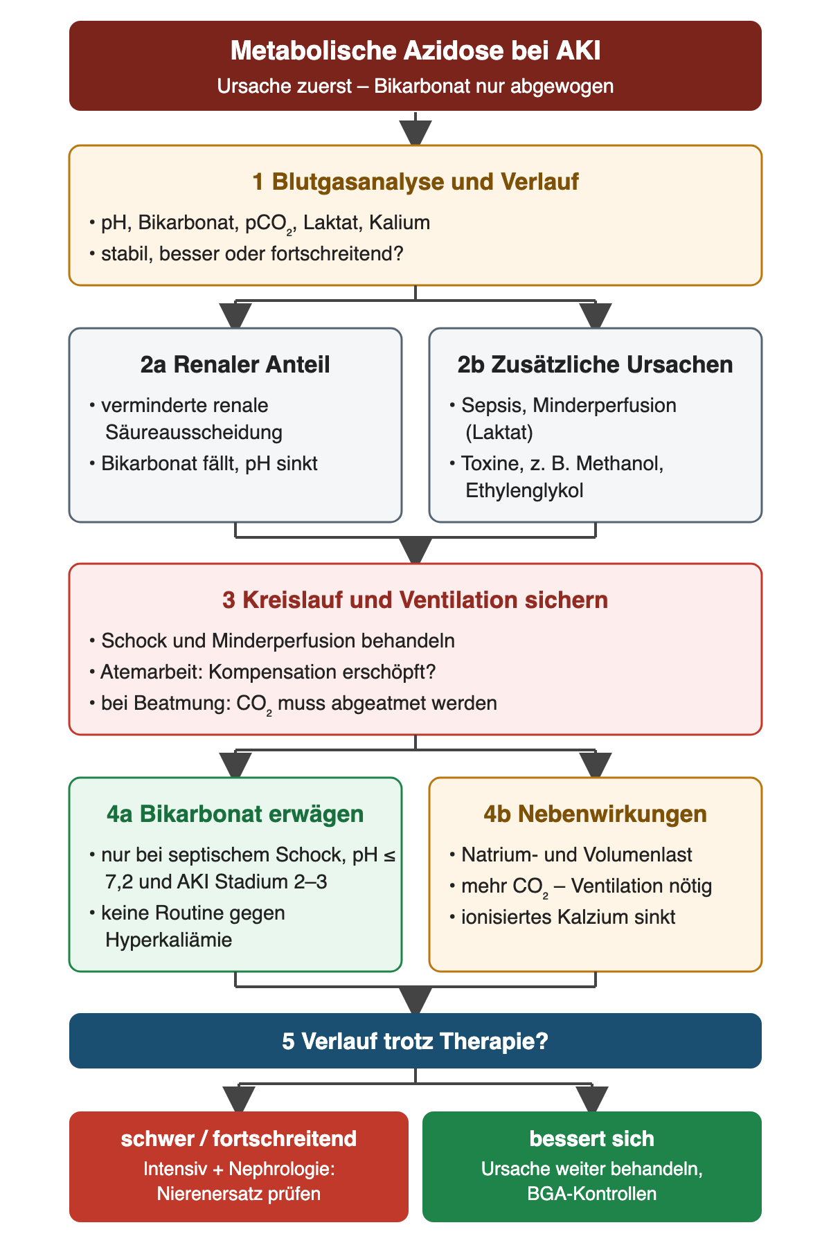 Blutgasanalyse mit pH, Bikarbonat, pCO2, Laktat und Kalium steht am Anfang. Neben verminderter renaler Säureausscheidung werden Sepsis, Minderperfusion und Toxine gesucht. Kreislauf und Ventilation werden gesichert. Bikarbonat wird bei septischem Schock mit pH 7,2 oder darunter und AKI Stadium 2 bis 3 erwogen, mit Blick auf Natrium- und Volumenlast, CO2-Bildung und sinkendes ionisiertes Kalzium. Bei schwerem oder fortschreitendem Verlauf werden Intensivmedizin und Nephrologie eingebunden.