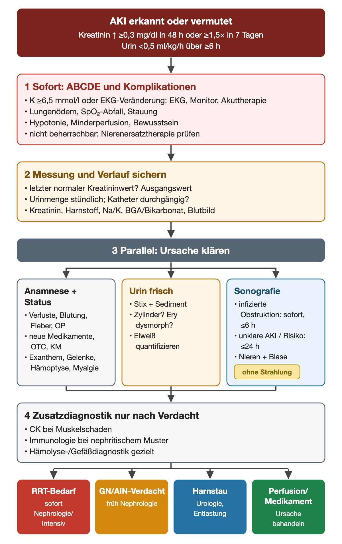 Ausgangspunkt ist der AKI-Verdacht mit Kreatininanstieg um mindestens 0,3 mg/dl in 48 Stunden oder auf das 1,5-Fache in 7 Tagen oder Urin unter 0,5 ml/kg/h über mindestens 6 Stunden. Schritt 1 behandelt sofort Kalium ab 6,5 mmol/l oder mit EKG-Veränderung, Lungenödem, Hypotonie und prüft Nierenersatztherapie. Schritt 2 sichert Ausgangswert, Urinmenge und Labor. Schritt 3 klärt parallel Anamnese, frischen Urin und Sonografie (infizierte Obstruktion sofort, spätestens 6 Stunden; unklare AKI binnen 24 Stunden). Schritt 4 ergänzt gezielte Zusatzdiagnostik. Vier farbige Ergebnisse führen zu Nephrologie/Intensiv, früher Nephrologie, Urologie oder Ursachenbehandlung.