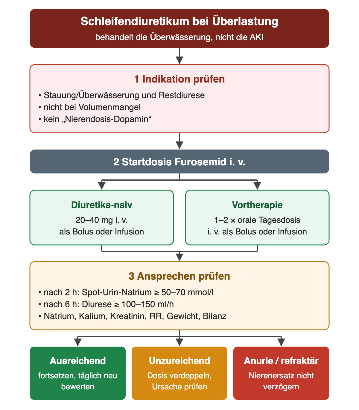 Drei Schritte zum Schleifendiuretikum: Indikation nur bei Stauung oder Überwässerung mit Restdiurese, nicht bei Volumenmangel und ohne Nierendosis-Dopamin; Startdosis Furosemid i. v. 20–40 mg bei Diuretika-naiven Patienten oder das 1- bis 2-Fache der oralen Tagesdosis; Ansprechen nach 2 Stunden mit Spot-Urin-Natrium ab 50–70 mmol/l und nach 6 Stunden mit Diurese ab 100–150 ml/h sowie Laborkontrollen. Die Ergebniszeile zeigt Fortsetzen, Dosisverdopplung oder bei Anurie beziehungsweise refraktärer Überlastung den nicht verzögerten Nierenersatz.