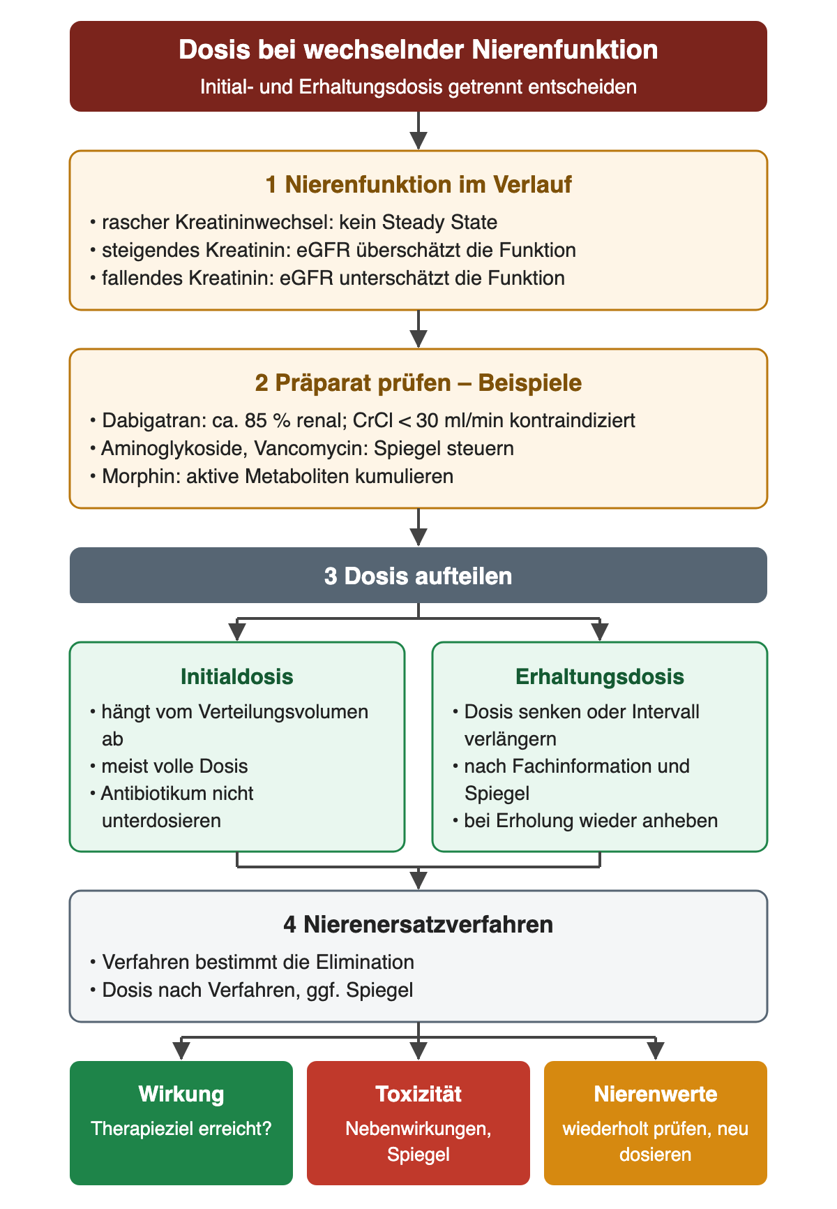 Vier Schritte: Nierenfunktion im Verlauf mit fehlendem Steady State, überschätzter eGFR bei steigendem und unterschätzter eGFR bei fallendem Kreatinin; Präparateprüfung mit Dabigatran (etwa 85 Prozent renal, kontraindiziert unter 30 ml/min Kreatinin-Clearance), spiegelgesteuerten Aminoglykosiden und Vancomycin sowie Morphin; Aufteilung in Initialdosis nach Verteilungsvolumen und angepasste Erhaltungsdosis; Nierenersatzverfahren. Die Ergebniszeile nennt Wirkung, Toxizität und wiederholte Nierenwerte.