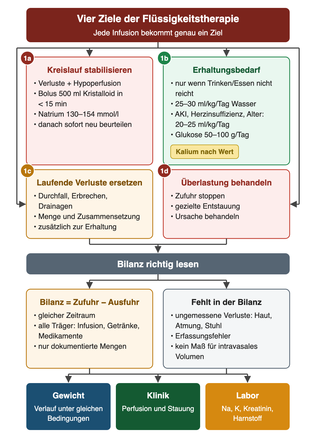 Vier nebeneinanderstehende Ziele der Flüssigkeitstherapie: Kreislaufstabilisierung mit 500-ml-Bolus in weniger als 15 Minuten, Erhaltungsbedarf mit 25–30 ml/kg/Tag beziehungsweise 20–25 ml/kg/Tag bei AKI, Herzinsuffizienz oder höherem Alter, Ersatz laufender Verluste und Behandlung einer Überlastung. Darunter wird die Bilanz als Zufuhr minus Ausfuhr erklärt, mit ihren Lücken, und durch Gewicht, Klinik und Labor ergänzt.