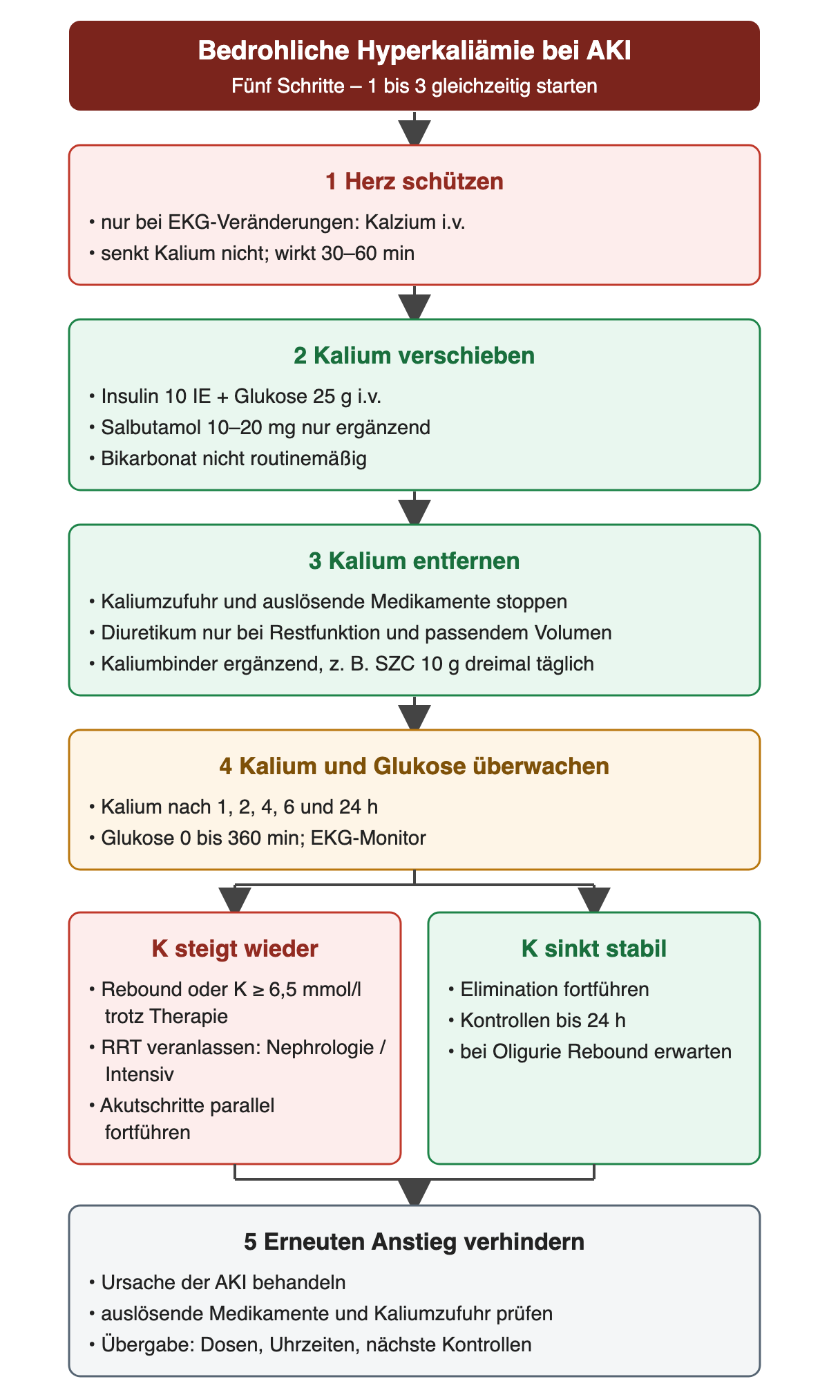 Fünf Schritte: Herz schützen mit Kalzium nur bei EKG-Veränderungen, Wirkung 30 bis 60 Minuten; Kalium verschieben mit Insulin 10 Einheiten plus 25 g Glukose, Salbutamol 10 bis 20 mg ergänzend, Bikarbonat nicht routinemäßig; Kalium entfernen durch Stopp der Zufuhr und auslösender Medikamente, Diuretikum nur bei Restfunktion und passendem Volumen, Kaliumbinder ergänzend; Kalium nach 1, 2, 4, 6 und 24 Stunden sowie Glukose überwachen. Steigt Kalium wieder oder bleibt es trotz Therapie bei 6,5 mmol/l oder darüber, wird ein Nierenersatz veranlasst; sinkt es stabil, wird die Elimination fortgeführt. Abschließend wird ein erneuter Anstieg verhindert.
