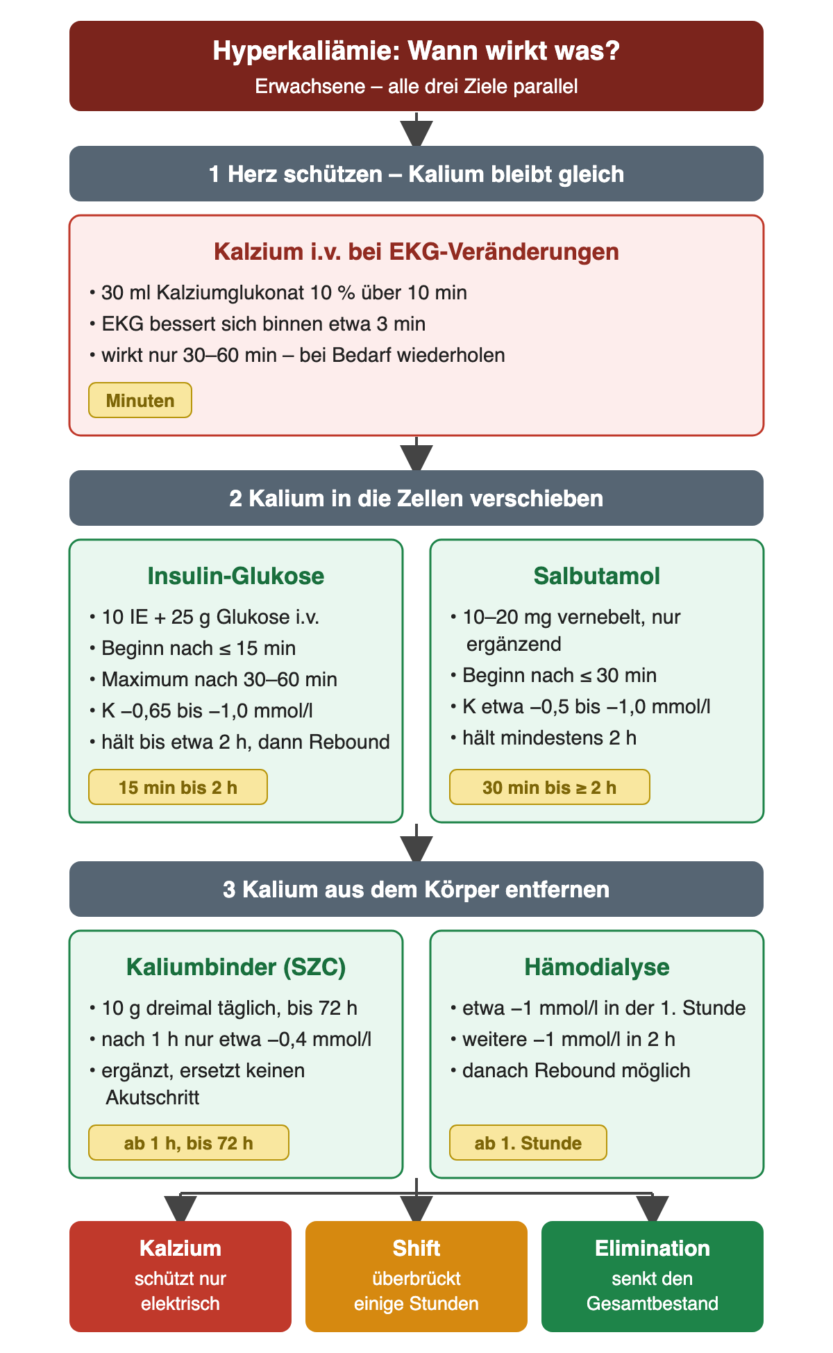 Drei Gruppen mit Wirkzeiten: Kalzium 30 ml Glukonat 10 Prozent über 10 Minuten wirkt am EKG binnen etwa 3 Minuten für 30 bis 60 Minuten. Insulin-Glukose 10 Einheiten plus 25 g wirkt ab 15 Minuten, maximal nach 30 bis 60 Minuten mit minus 0,65 bis 1,0 mmol/l, bis etwa 2 Stunden; Salbutamol 10 bis 20 mg senkt um etwa 0,5 bis 1,0 mmol/l ab 30 Minuten für mindestens 2 Stunden. Natriumzirkoniumcyclosilikat 10 g dreimal täglich bis 72 Stunden senkt nach 1 Stunde nur etwa 0,4 mmol/l; Hämodialyse etwa 1 mmol/l in der ersten Stunde.