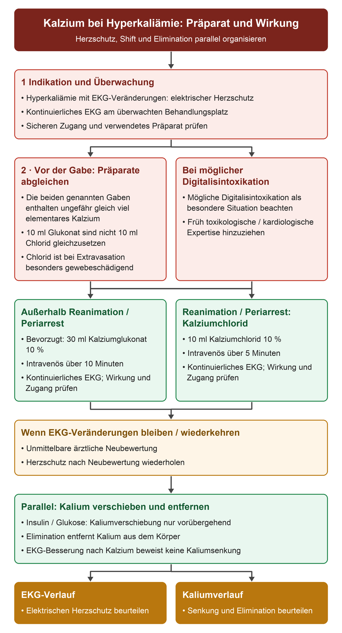 Bei Hyperkaliämie mit EKG-Veränderungen werden überwacht 30 ml Kalziumglukonat 10 Prozent über 10 Minuten oder im Reanimations-/Periarrestkontext bevorzugt 10 ml Kalziumchlorid 10 Prozent über 5 Minuten gegeben. Präparatesicherheit, erneute EKG-Veränderungen und mögliche Digitalisintoxikation werden geprüft; Shift und Elimination laufen parallel.