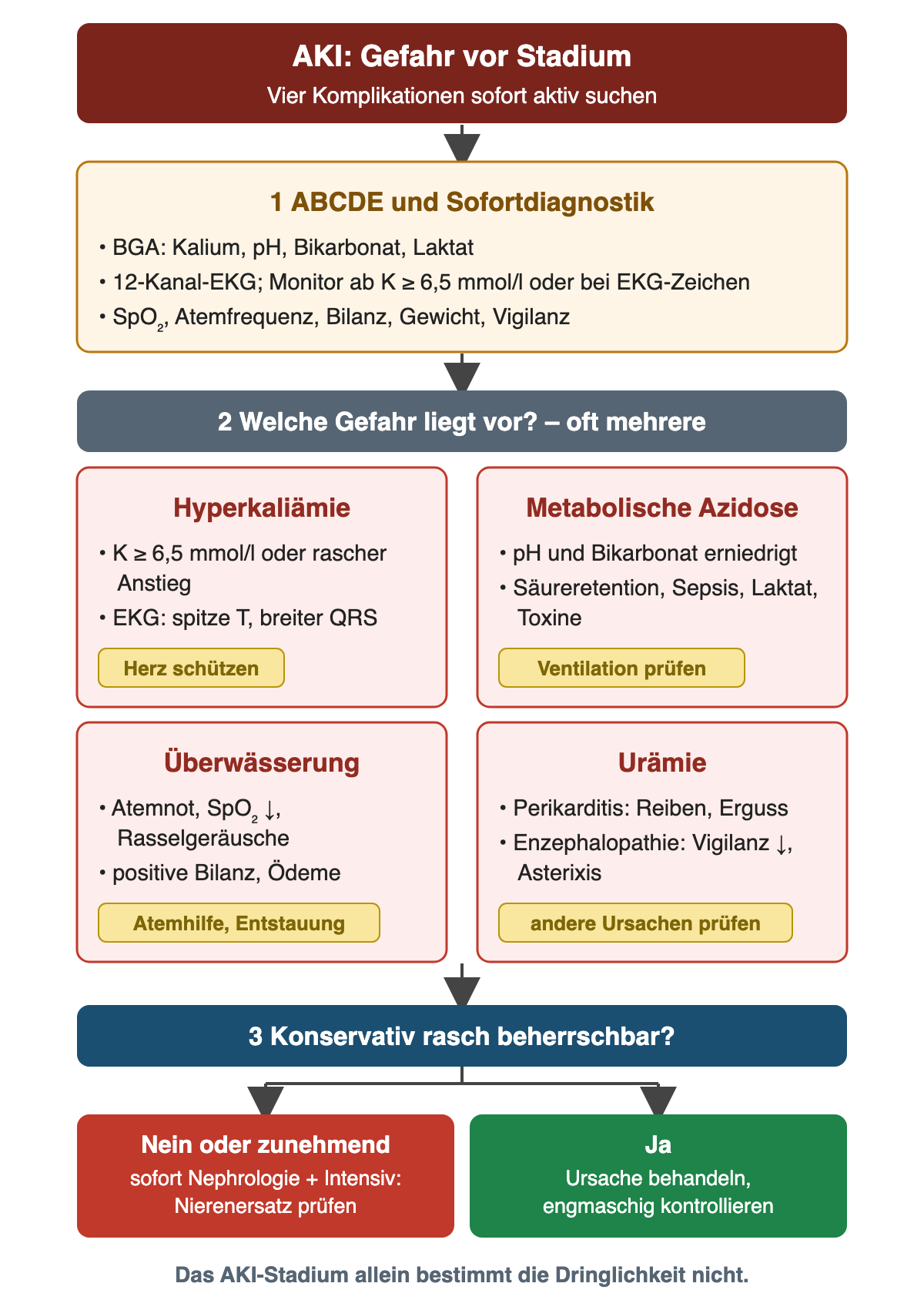 Nach ABCDE mit Blutgasanalyse, 12-Kanal-EKG und Bilanz werden vier Gefahren parallel gesucht: Hyperkaliämie ab 6,5 mmol/l oder mit EKG-Zeichen, metabolische Azidose, Überwässerung mit Atemnot und Urämie mit Perikarditis oder Enzephalopathie. Ist die Gefahr konservativ nicht rasch beherrschbar, folgen sofort Nephrologie, Intensivmedizin und Prüfung des Nierenersatzes; sonst Ursachenbehandlung und engmaschige Kontrolle.