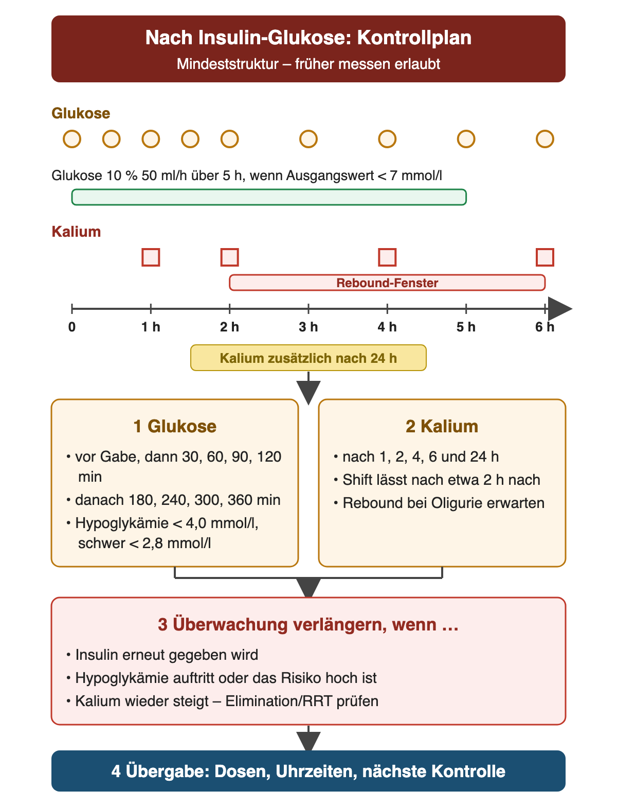 Zeitachse über 6 Stunden nach Insulin-Glukose: Glukose vor Gabe sowie nach 30, 60, 90, 120, 180, 240, 300 und 360 Minuten; bei Ausgangsglukose unter 7 mmol/l Glukose 10 Prozent mit 50 ml/h über 5 Stunden. Kalium nach 1, 2, 4 und 6 Stunden sowie nach 24 Stunden; ab etwa 2 Stunden beginnt das Rebound-Fenster. Hypoglykämie liegt unter 4,0 mmol/l, schwer unter 2,8 mmol/l. Bei erneuter Insulingabe, Hypoglykämie oder steigendem Kalium wird die Überwachung verlängert; Dosen, Uhrzeiten und nächste Kontrollen werden übergeben.