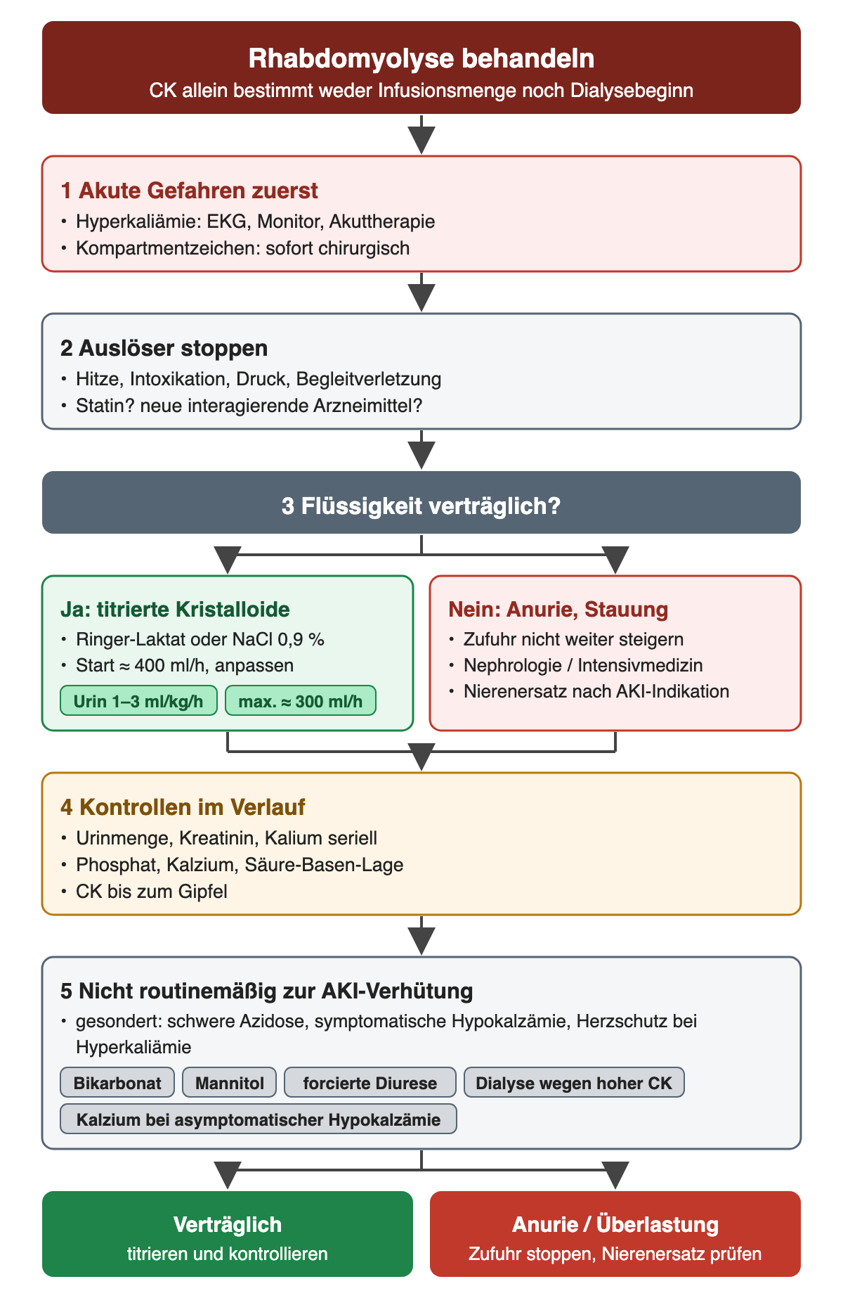 Behandlungsablauf in fünf Schritten: zuerst akute Gefahren wie Hyperkaliämie und Kompartmentzeichen, dann Auslöser stoppen einschließlich Statin- und Interaktionsprüfung. Schritt 3 fragt nach der Flüssigkeitsverträglichkeit: Ja führt zu Ringer-Laktat oder Kochsalzlösung mit Start um 400 ml/h, Urinziel 1–3 ml/kg/h und höchstens etwa 300 ml/h; Nein bei Anurie oder Stauung bedeutet keine weitere Steigerung, Nephrologie oder Intensivmedizin und Nierenersatz nach AKI-Indikation. Schritt 4 nennt die Verlaufskontrollen, Schritt 5 die nicht routinemäßigen Maßnahmen Bikarbonat, Mannitol, forcierte Diurese, Dialyse wegen hoher CK und Kalzium bei asymptomatischer Hypokalzämie. Ergebnisse: bei Verträglichkeit titrieren, bei Anurie oder Überlastung Zufuhr stoppen und Nierenersatz prüfen.