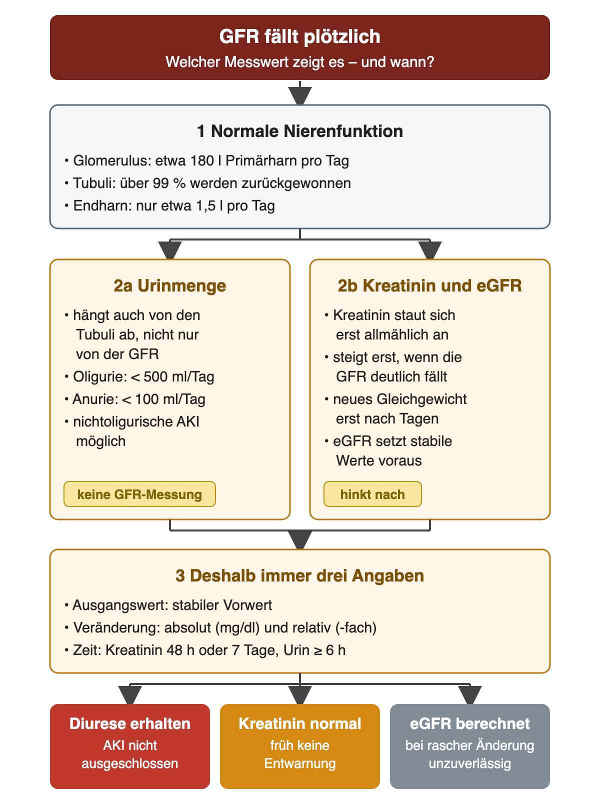Ablauf von der normalen Filtration zu zwei Messwegen: Die Urinmenge hängt auch von den Tubuli ab, mit Oligurie unter 500 ml und Anurie unter 100 ml pro Tag; Kreatinin und eGFR hinken nach. Beide führen zu den drei nötigen Angaben Ausgangswert, Veränderung und Zeit. Unten drei Folgerungen: Erhaltene Diurese, normales Kreatinin und berechnete eGFR geben früh keine Sicherheit.