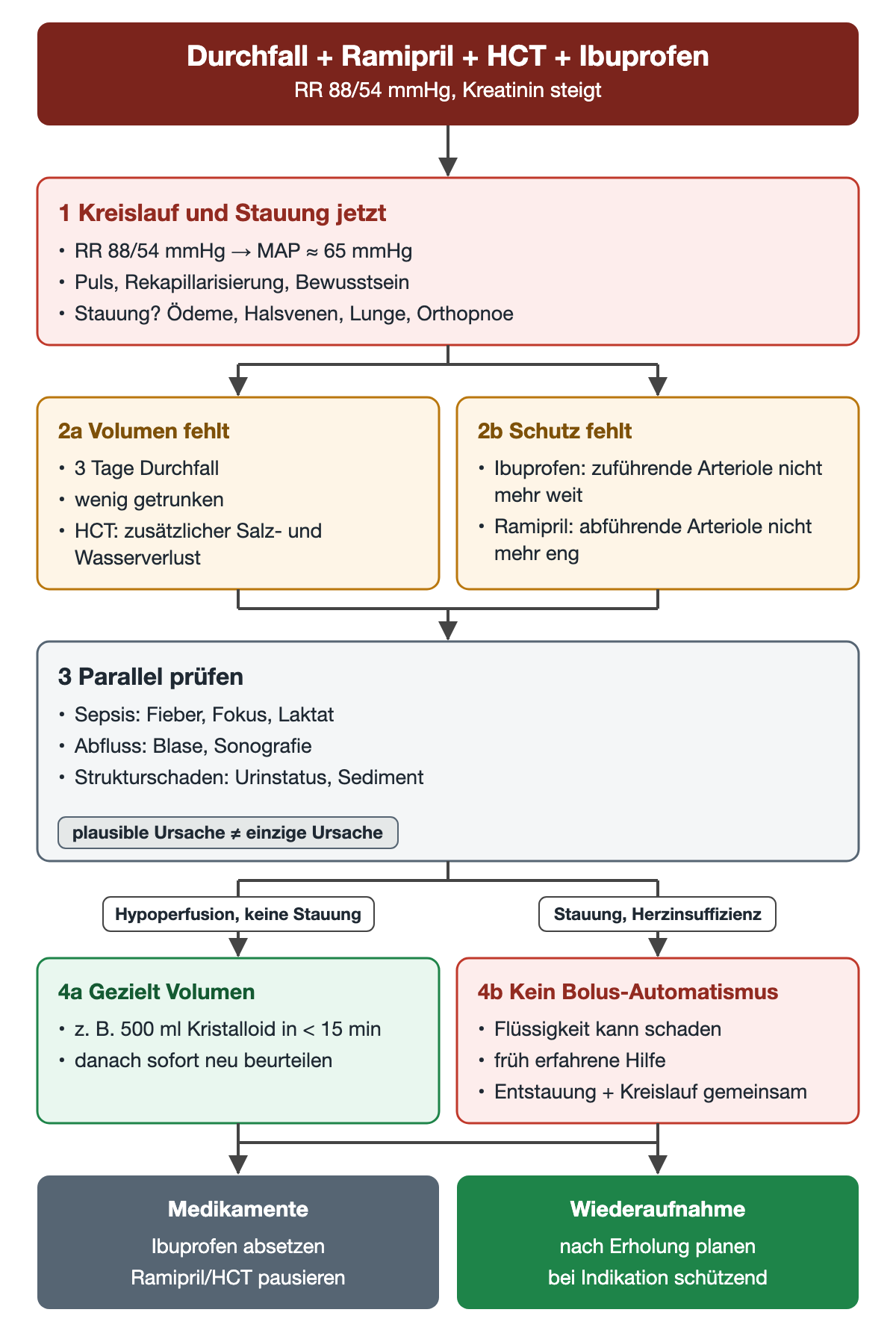 Der Durchfallfall mit 88/54 mmHg, also einem mittleren arteriellen Druck von etwa 65 mmHg, führt zur Beurteilung von Kreislauf und Stauung, dann zu den Zweigen fehlendes Volumen und fehlender Arteriolenschutz. Parallel werden Sepsis, Abfluss und Strukturschaden geprüft. Ohne Stauung folgt eine gezielte Volumengabe von etwa 500 ml in weniger als 15 Minuten mit sofortiger Wiederbeurteilung, bei Stauung kein Bolus-Automatismus. Ibuprofen wird abgesetzt, Ramipril und Hydrochlorothiazid pausiert und die Wiederaufnahme geplant.