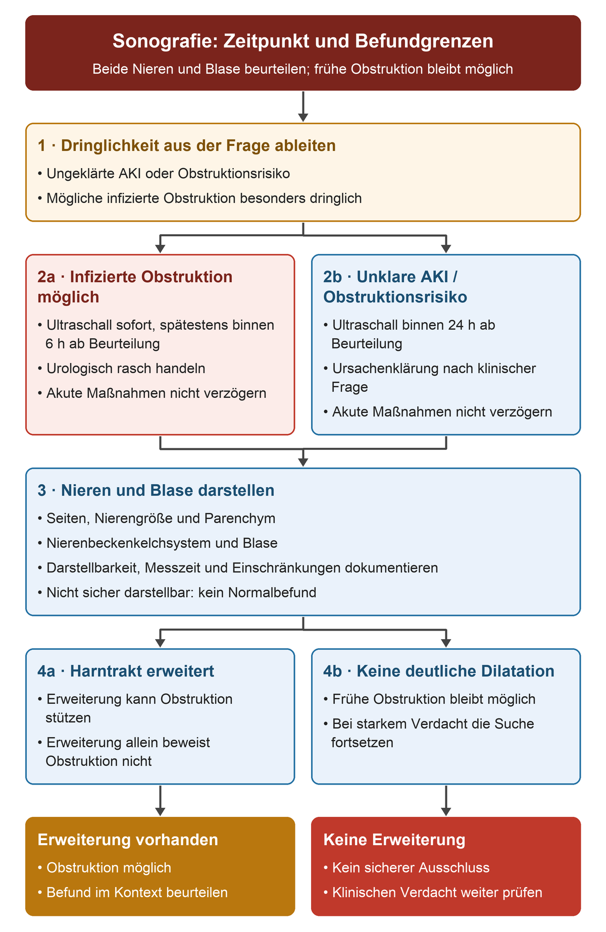 Die Sonografie wird nach dem Verdacht auf infizierte Obstruktion oder unklare AKI zeitlich priorisiert. Nach Darstellung beider Nieren und der Blase werden Erweiterung, fehlende Erweiterung und unsichere Darstellbarkeit unterschiedlich eingeordnet.