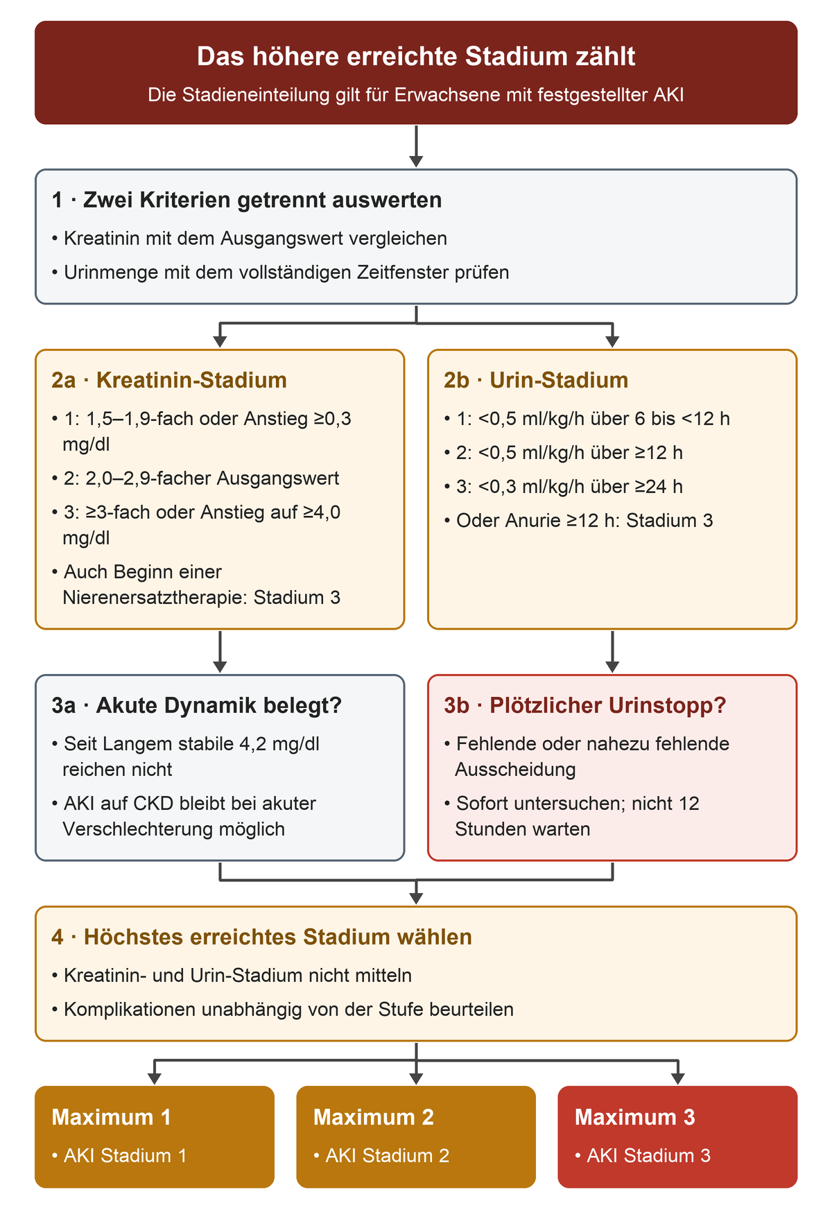 Nach getrennter Einstufung von Kreatinin und Urinmenge werden akute Dynamik und Urinstopp geprüft. Das höhere Ergebnis bestimmt Stadium 1, 2 oder 3.
