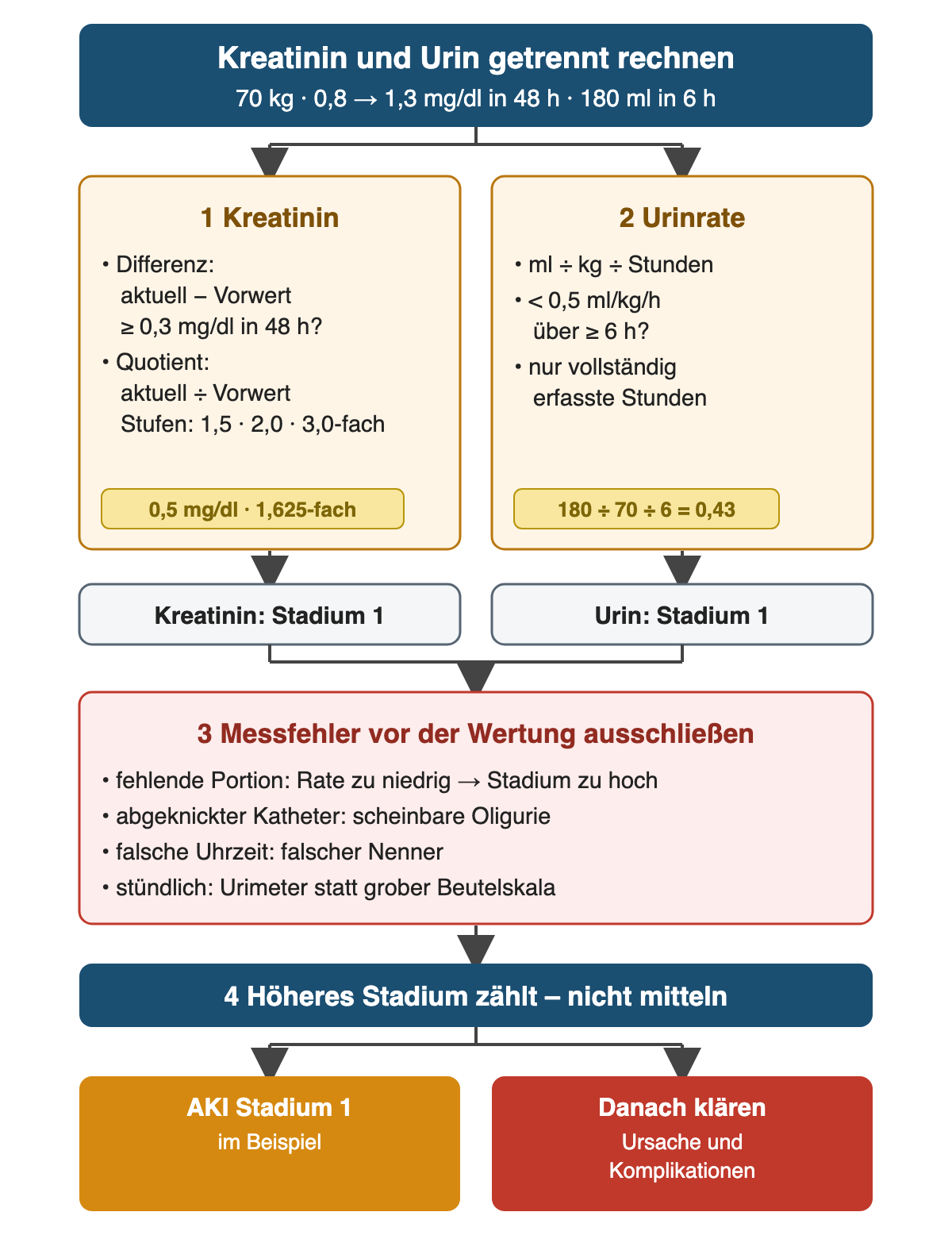 Rechenweg des Beispiels in zwei Spalten: Kreatinin mit Differenz 0,5 mg/dl und Quotient 1,625 ergibt Stadium 1; Urinrate 180 ÷ 70 ÷ 6 = 0,43 ml/kg/h ergibt ebenfalls Stadium 1. Danach werden Messfehler ausgeschlossen, und das höhere Stadium zählt. Ergebnis: AKI Stadium 1, anschließend Ursache und Komplikationen klären.