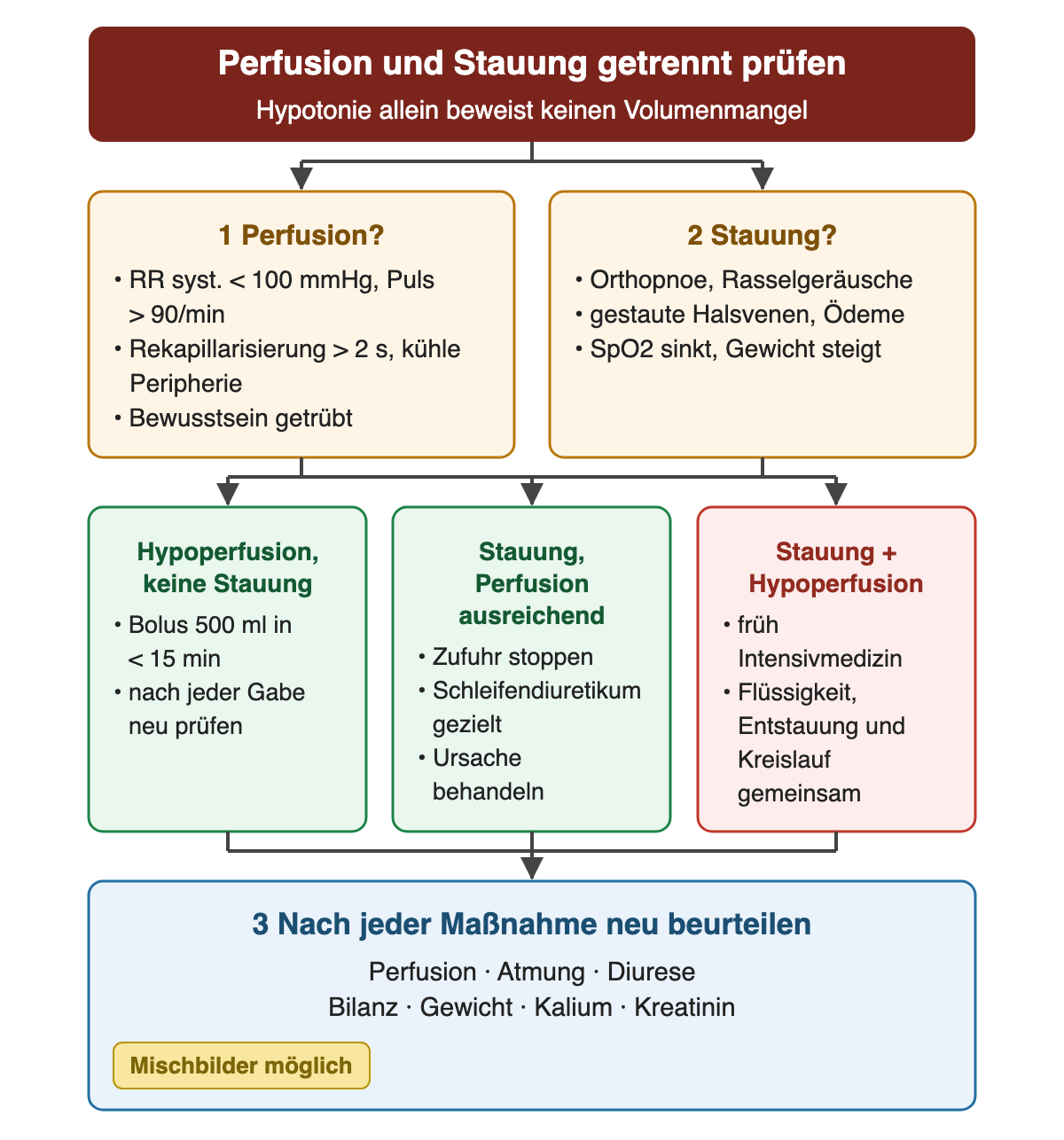 Perfusion und Stauung werden getrennt geprüft: Perfusion mit systolischem Blutdruck unter 100 mmHg, Puls über 90/min, Rekapillarisierung über 2 Sekunden und Bewusstsein; Stauung mit Orthopnoe, Rasselgeräuschen, gestauten Halsvenen, Ödemen, sinkender Sauerstoffsättigung und Gewichtszunahme. Drei Wege folgen: Bolus bei Hypoperfusion ohne Stauung, Zufuhrstopp und gezieltes Schleifendiuretikum bei Stauung mit ausreichender Perfusion, frühe Intensivmedizin bei Stauung plus Hypoperfusion. Alle Wege münden in die erneute Beurteilung von Perfusion, Atmung, Diurese, Bilanz, Gewicht, Kalium und Kreatinin.