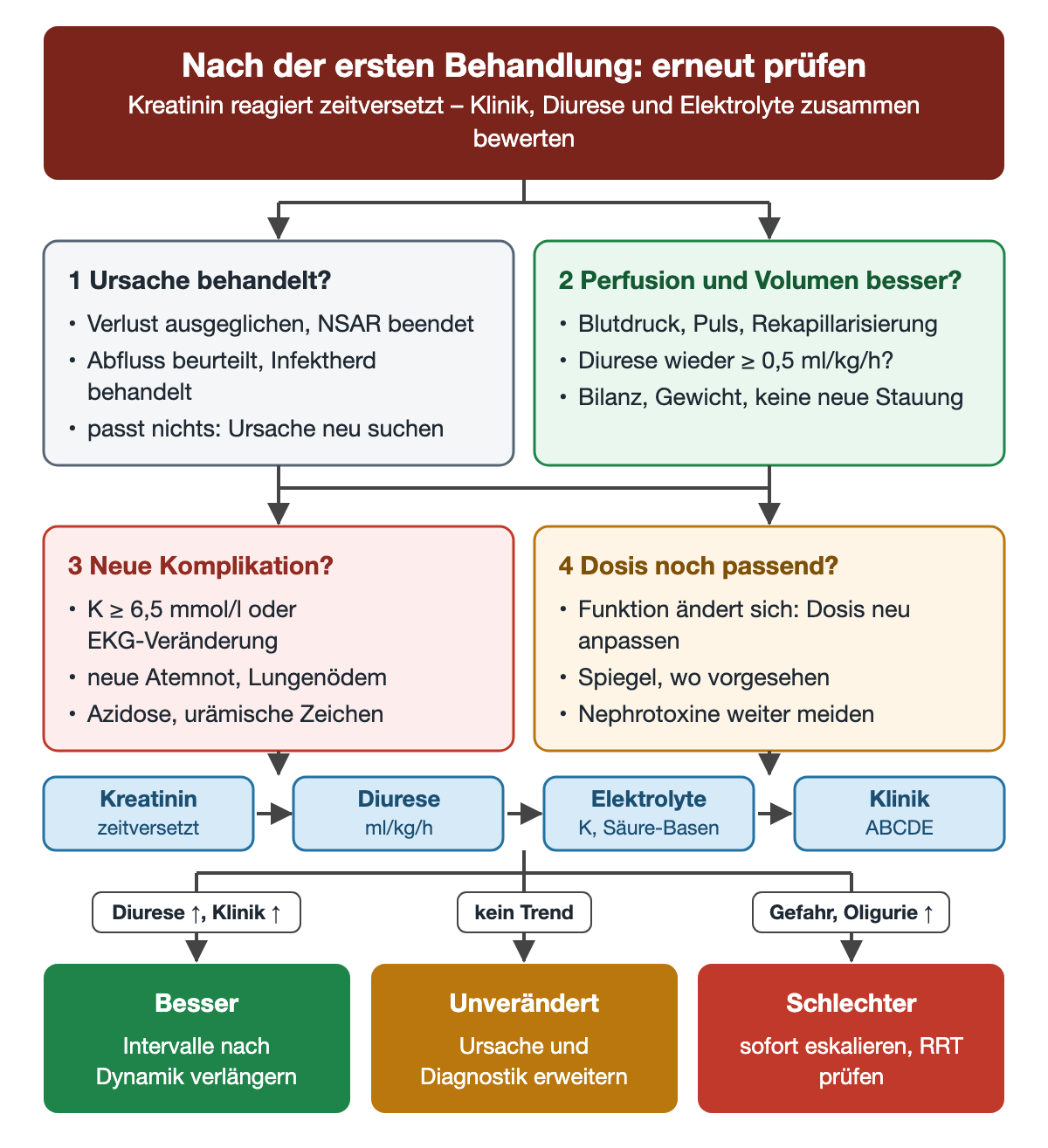 Nach der ersten Behandlung werden vier Fragen geprüft: Ursache behandelt, Perfusion und Volumen gebessert, neue Komplikation, Dosis noch passend. Kreatinin, Diurese, Elektrolyte und Klinik werden gemeinsam bewertet und führen zu drei Ergebnissen: besser, unverändert oder schlechter mit sofortiger Eskalation.