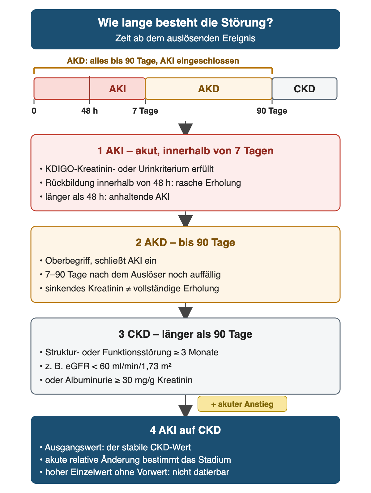 Zeitachse ab dem auslösenden Ereignis: AKI bis 7 Tage mit Markierung bei 48 Stunden, AKD bis 90 Tage als Oberbegriff einschließlich AKI, danach CKD. Darunter vier Kästen: AKI mit rascher Erholung innerhalb von 48 Stunden oder anhaltender AKI, AKD 7 bis 90 Tage, CKD mit eGFR unter 60 ml/min/1,73 m² oder Albuminurie ab 30 mg/g Kreatinin, und AKI auf CKD mit dem stabilen CKD-Wert als Ausgangswert.