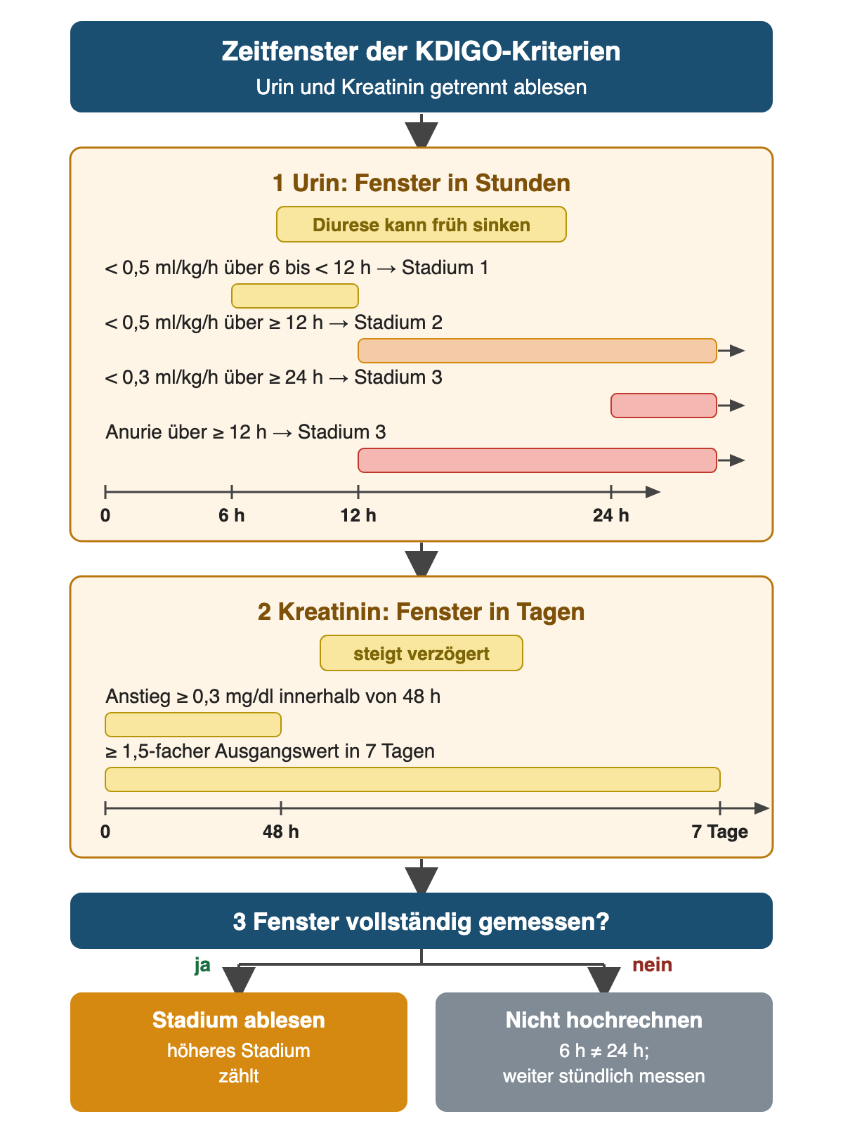 Zwei Zeitachsen. Urin in Stunden: unter 0,5 ml/kg/h über 6 bis unter 12 Stunden Stadium 1, über mindestens 12 Stunden Stadium 2, unter 0,3 ml/kg/h über mindestens 24 Stunden oder Anurie über mindestens 12 Stunden Stadium 3. Kreatinin in Tagen: Anstieg um mindestens 0,3 mg/dl innerhalb von 48 Stunden oder mindestens 1,5-facher Ausgangswert in 7 Tagen. Danach die Frage, ob das Fenster vollständig gemessen wurde: ja, Stadium ablesen; nein, nicht hochrechnen und weiter stündlich messen.