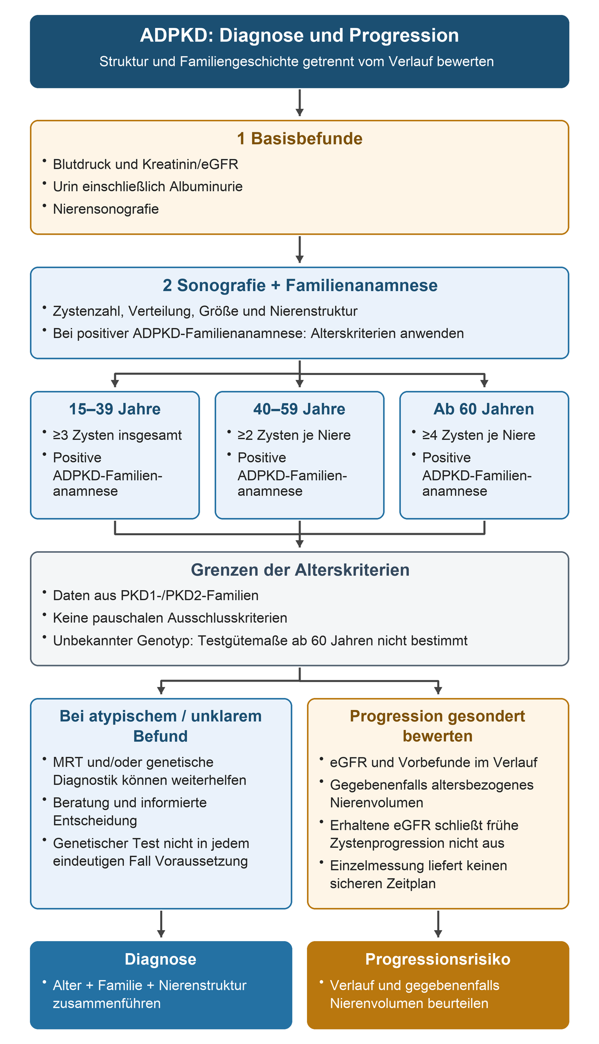Nach Basisdiagnostik und Sonografie werden bei positiver Familienanamnese die altersabhängigen Zystenzahlen angewandt; atypische Befunde führen zu ergänzender Diagnostik, während eGFR-Verlauf und Nierenvolumen das Progressionsrisiko betreffen.
