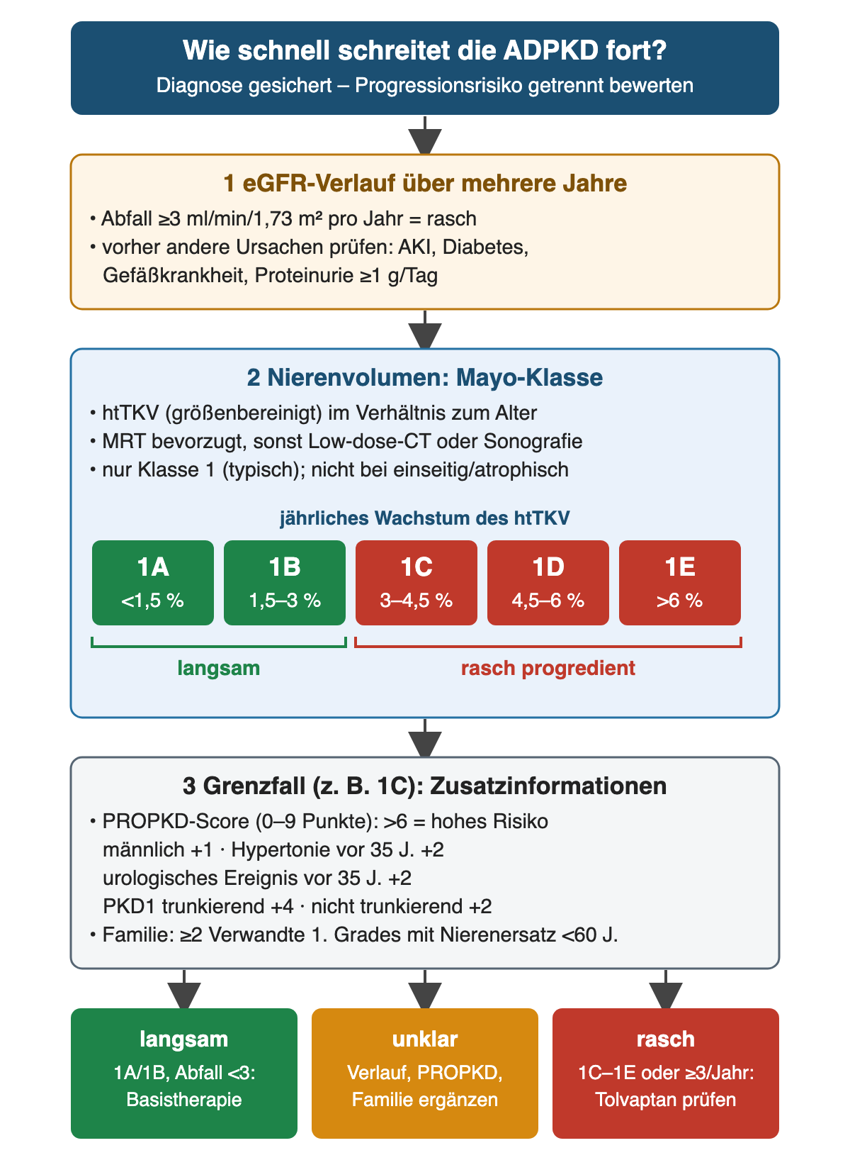Progressionsrisiko aus eGFR-Verlauf, Mayo-Klasse 1A bis 1E mit jährlichem Wachstum des Nierenvolumens und PROPKD-Score; unten langsame, unklare und rasche Progression mit Konsequenz.