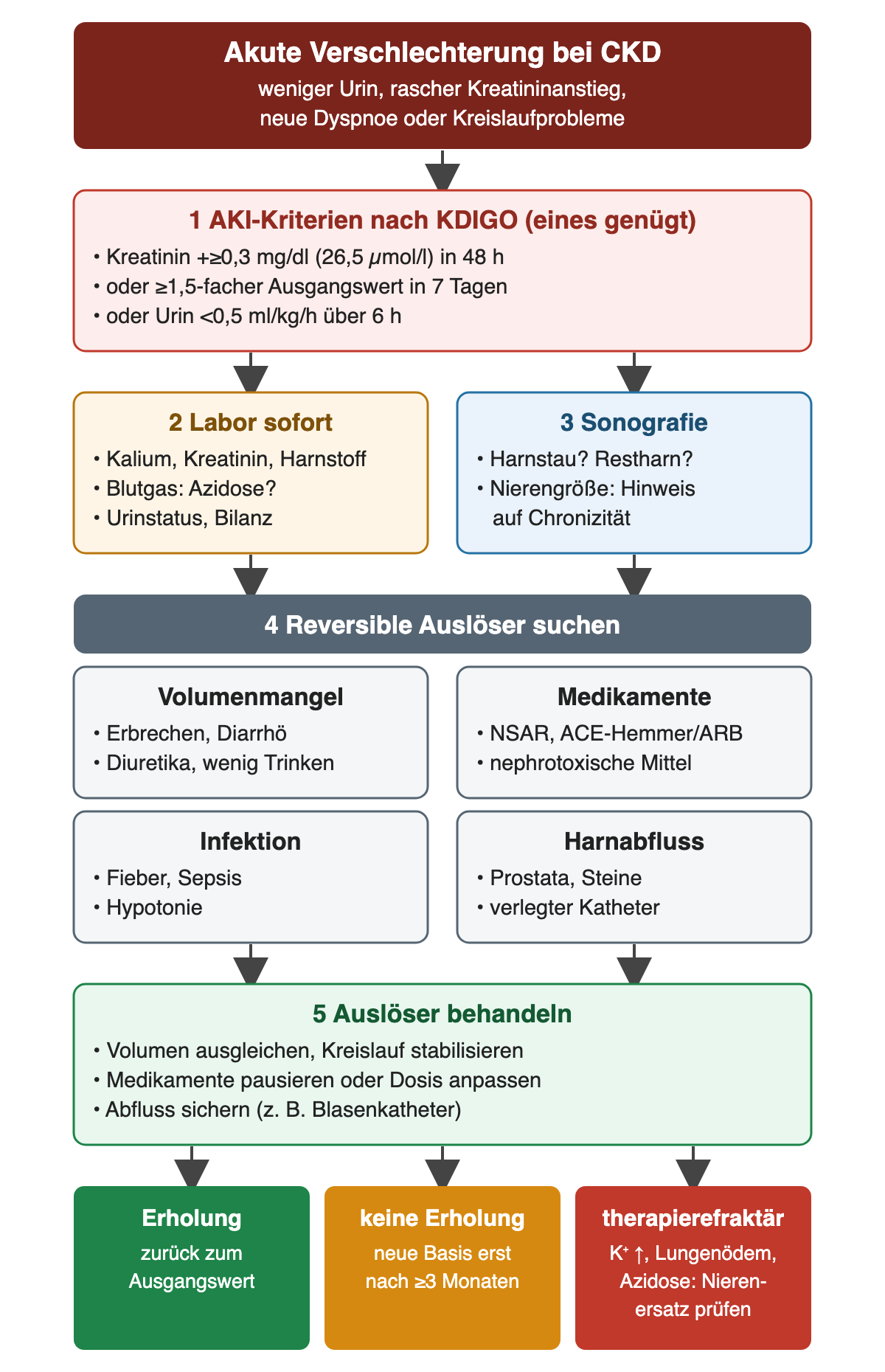 Ablauf bei akuter Verschlechterung einer CKD: KDIGO-AKI-Kriterien, Labor und Sonografie, vier Gruppen reversibler Auslöser, Behandlung der Auslöser und drei Ergebnisse von Erholung bis therapierefraktärer Lage.