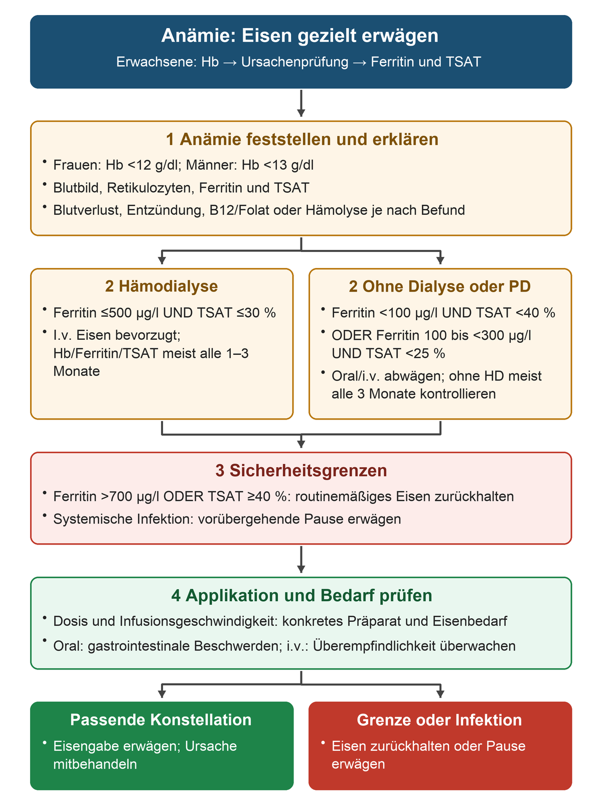 Von Hb-Grenzen und Ursachenprüfung zu dialyseabhängigen Ferritin-TSAT-Kriterien, Sicherheitsgrenzen und der Entscheidung über Eisengabe oder Pause.