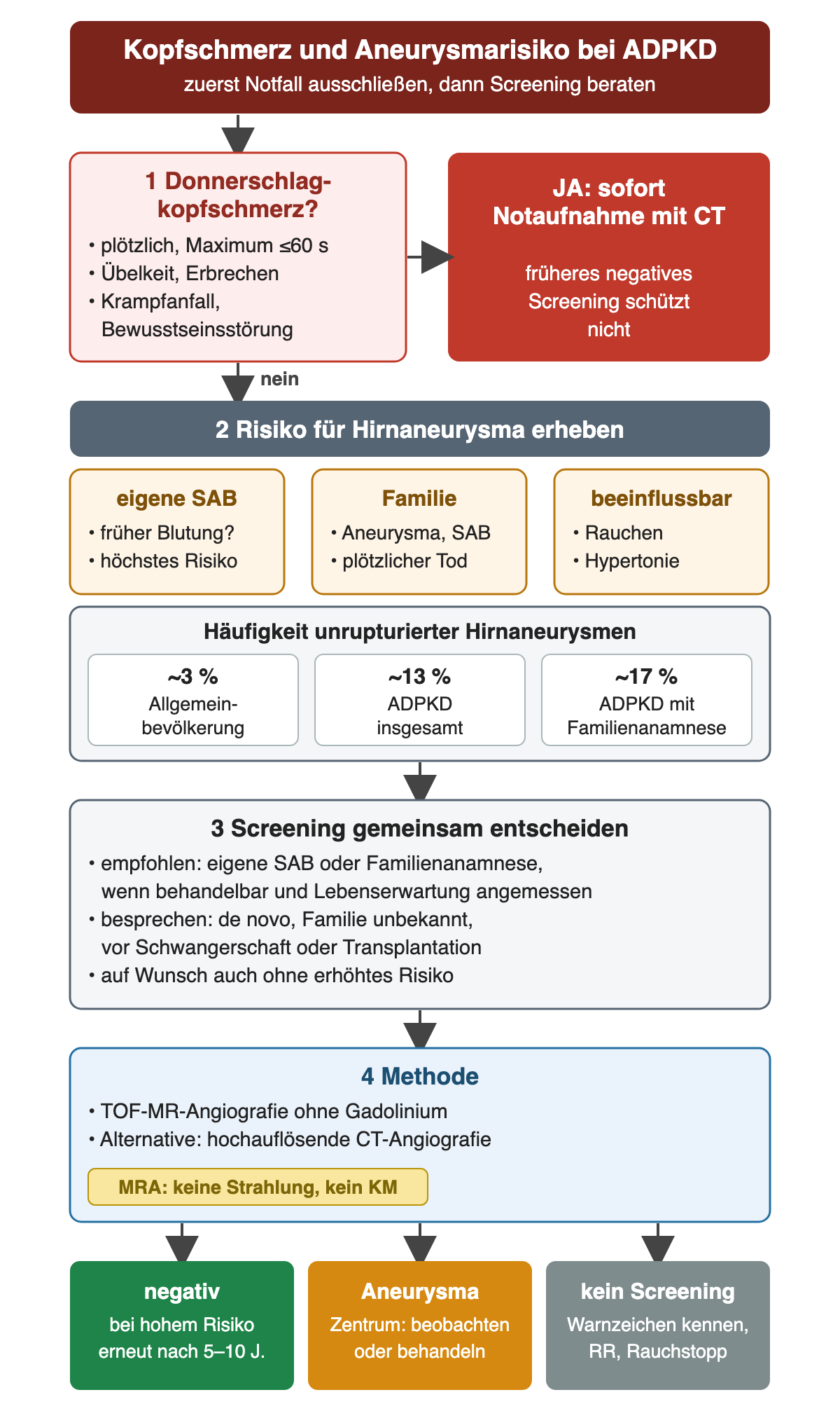 Donnerschlagkopfschmerz führt sofort in die Notaufnahme mit CT; ohne dieses Warnzeichen folgen Risikoerhebung, eine eigene Zeile mit Aneurysmahäufigkeiten von 3, 13 und 17 Prozent, gemeinsame Screeningentscheidung, MR-Angiografie ohne Gadolinium und drei mögliche Ergebnisse.