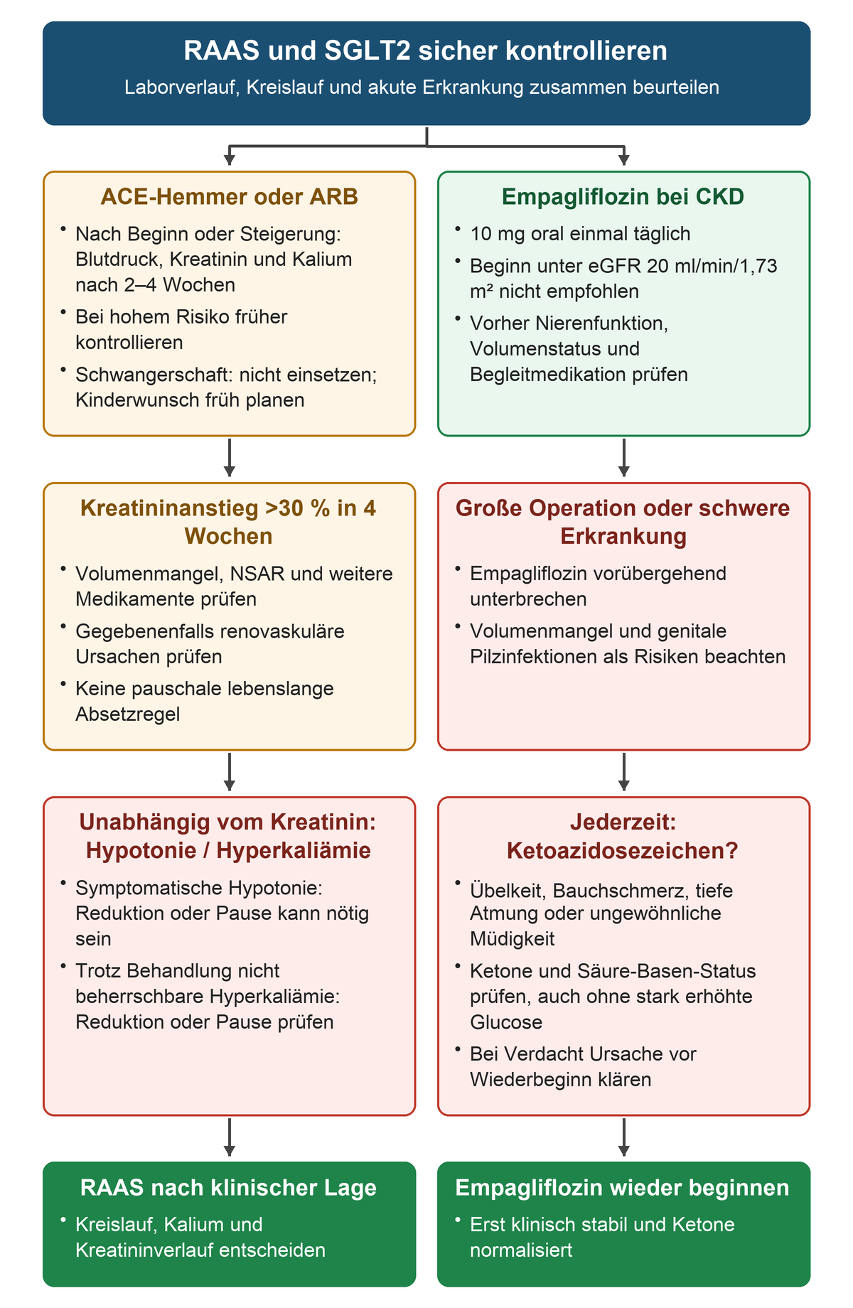 Links führen Kontrollen unter ACE-Hemmer oder ARB über den Kreatininanstieg zu klinisch begründeten Anpassungen; rechts führen Empagliflozin, Unterbrechungsgründe und Ketoazidosezeichen zu Regeln für den Wiederbeginn.