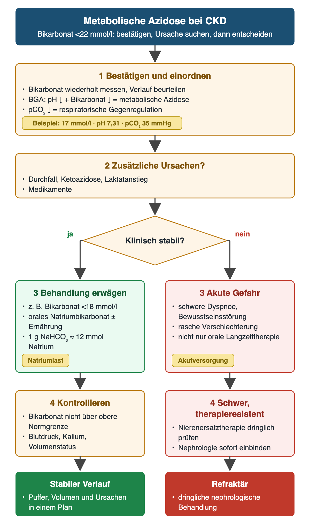 Von erniedrigtem Bikarbonat über Bestätigung mit BGA und Suche zusätzlicher Ursachen zur Frage nach klinischer Stabilität; stabil: Behandlung ab etwa 18 mmol/l mit Natriumlast und Kontrollen, instabil: Akutversorgung und Nierenersatzprüfung.
