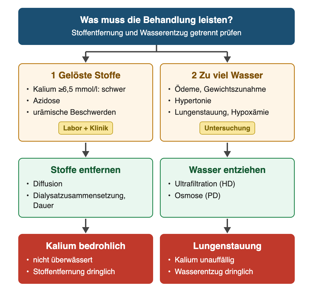 Zwei getrennte Prüfwege: zu viele gelöste Stoffe wie Kalium führen zur Stoffentfernung, zu viel Wasser mit Lungenstauung zum Wasserentzug; unten zwei Beispiele mit jeweils nur einem dringlichen Ziel.