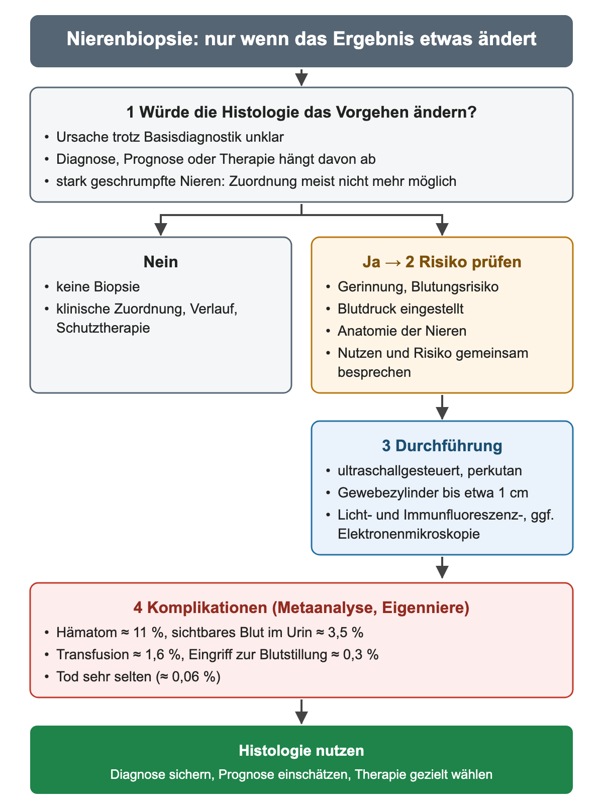 Biopsie-Entscheidung in vier Schritten: Würde die Histologie das Vorgehen ändern; bei Nein klinische Zuordnung, bei Ja Risikoprüfung, ultraschallgesteuerte Durchführung und Komplikationsraten; unten die Nutzung der Histologie.
