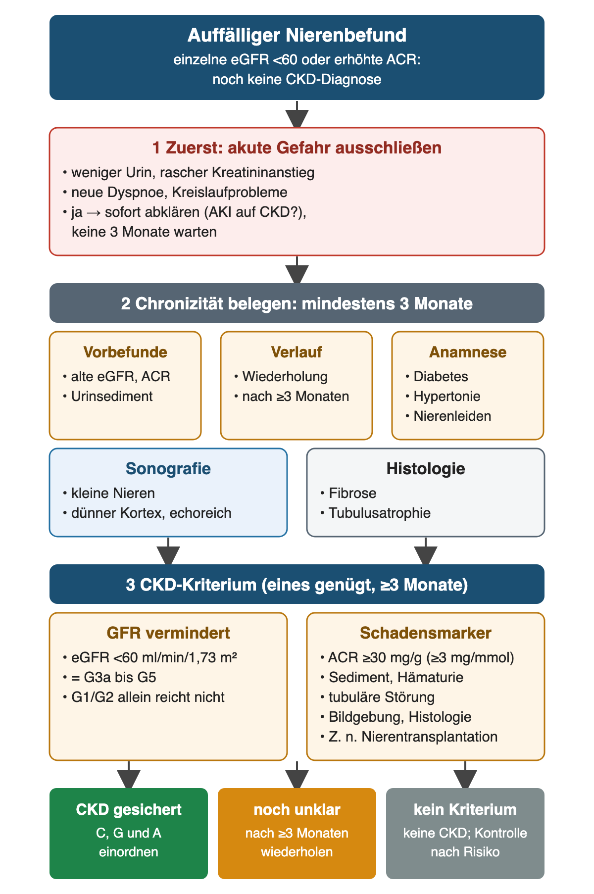 Prüfweg vom auffälligen Nierenbefund über den Ausschluss akuter Gefahr und fünf Quellen des Chronizitätsnachweises zu den CKD-Kriterien eGFR unter 60 oder Schadensmarker; unten die Ergebnisse CKD gesichert, noch unklar und kein Kriterium.