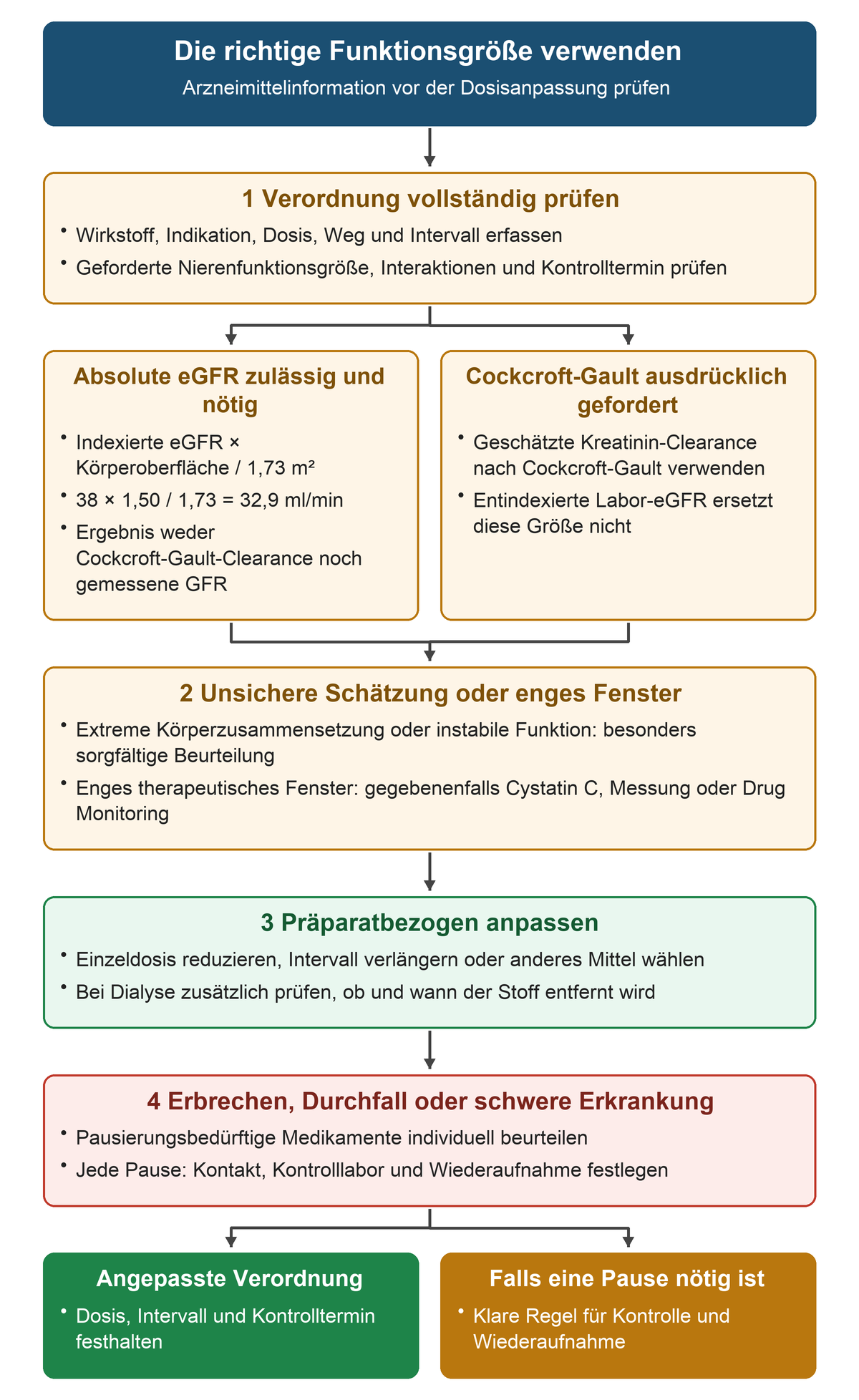 Die Medikationsprüfung führt zur geforderten absoluten eGFR oder Cockcroft-Gault-Clearance, prüft Grenzen der Schätzung und leitet Dosis, Intervall oder eine Pause mit Wiederaufnahmeplan ab.