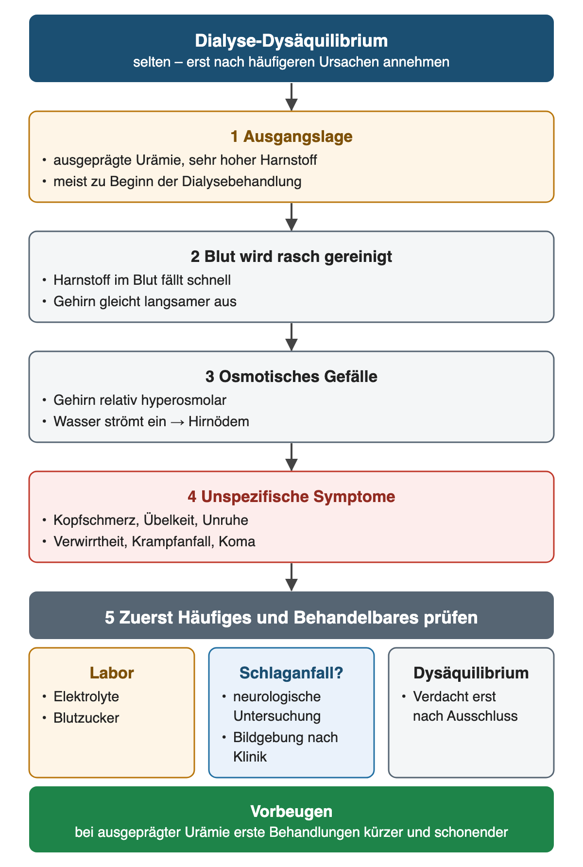 Mechanismus des Dialyse-Dysäquilibriums von hoher Harnstoffkonzentration über rasche Blutreinigung und osmotisches Gefälle zum Hirnödem mit unspezifischen Symptomen; darunter die vorrangige Prüfung von Labor und Schlaganfall und die Vorbeugung.