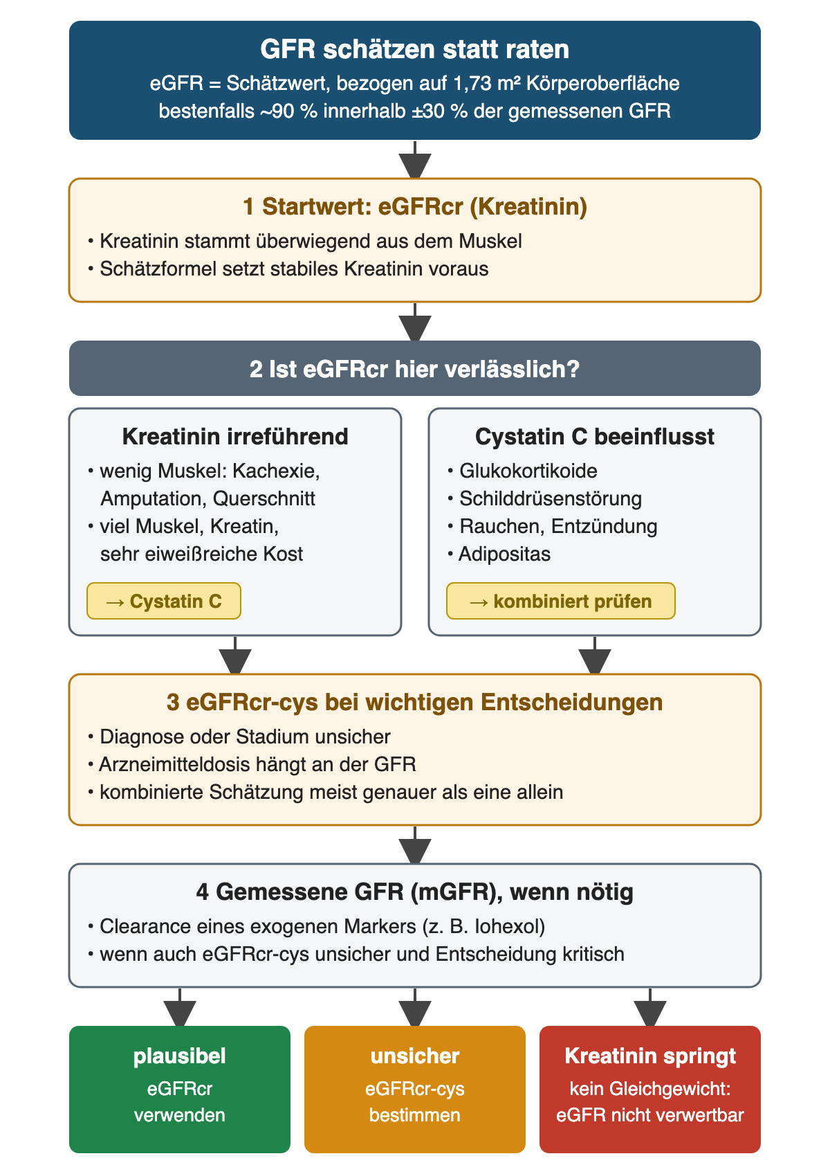 Vom Startwert eGFRcr über die Prüfung von Kreatinin- und Cystatin-C-Störfaktoren zur kombinierten Schätzung und, falls nötig, zur gemessenen GFR; unten drei Ergebnisse: eGFRcr verwenden, eGFRcr-cys bestimmen oder eGFR bei springendem Kreatinin nicht verwerten.