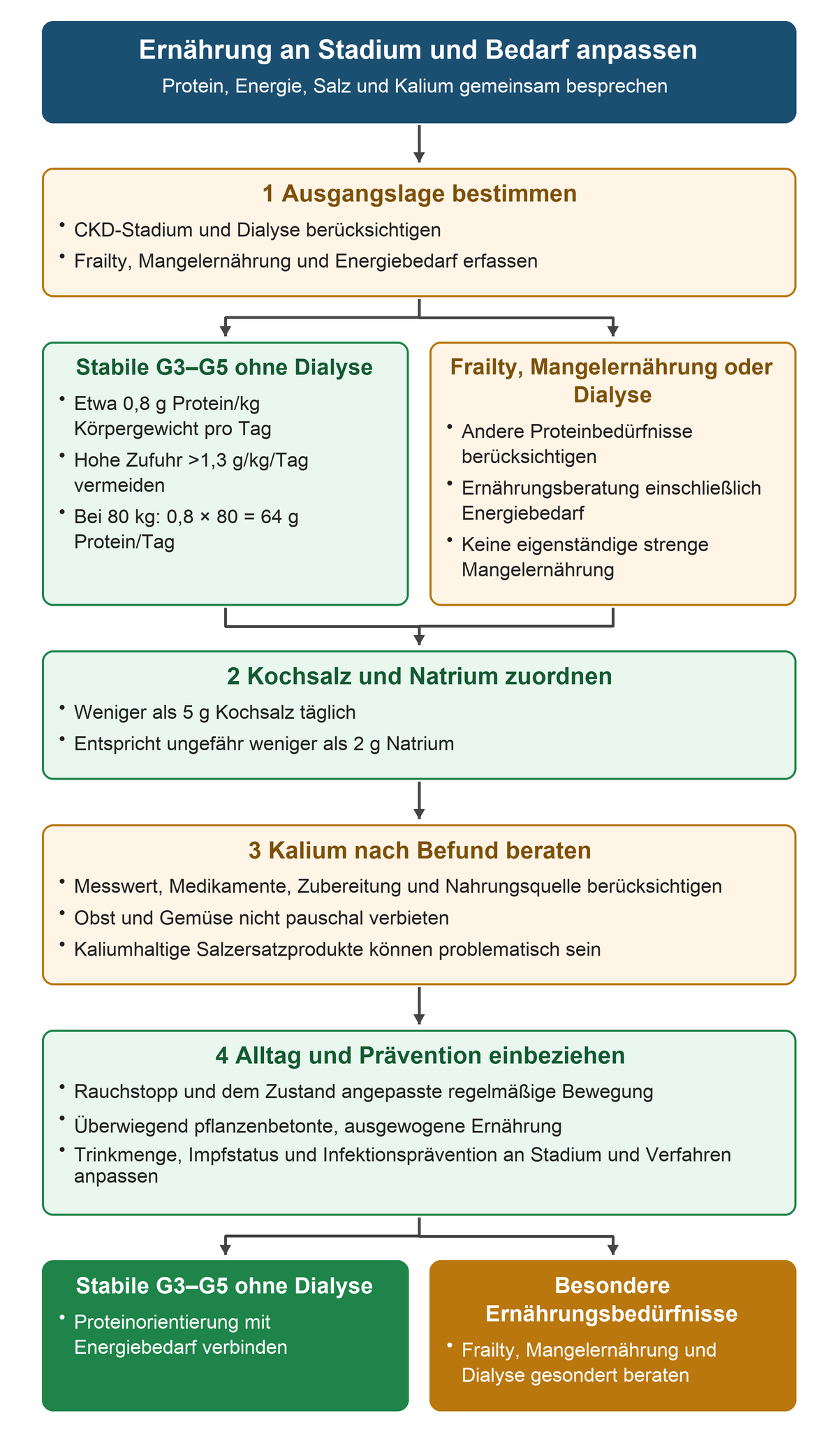 Aus Stadium, Dialyse und Ernährungszustand ergeben sich unterschiedliche Proteinbedürfnisse; anschließend werden Kochsalz, Kaliumquellen und Alltag in einen individuellen Schutzplan eingeordnet.
