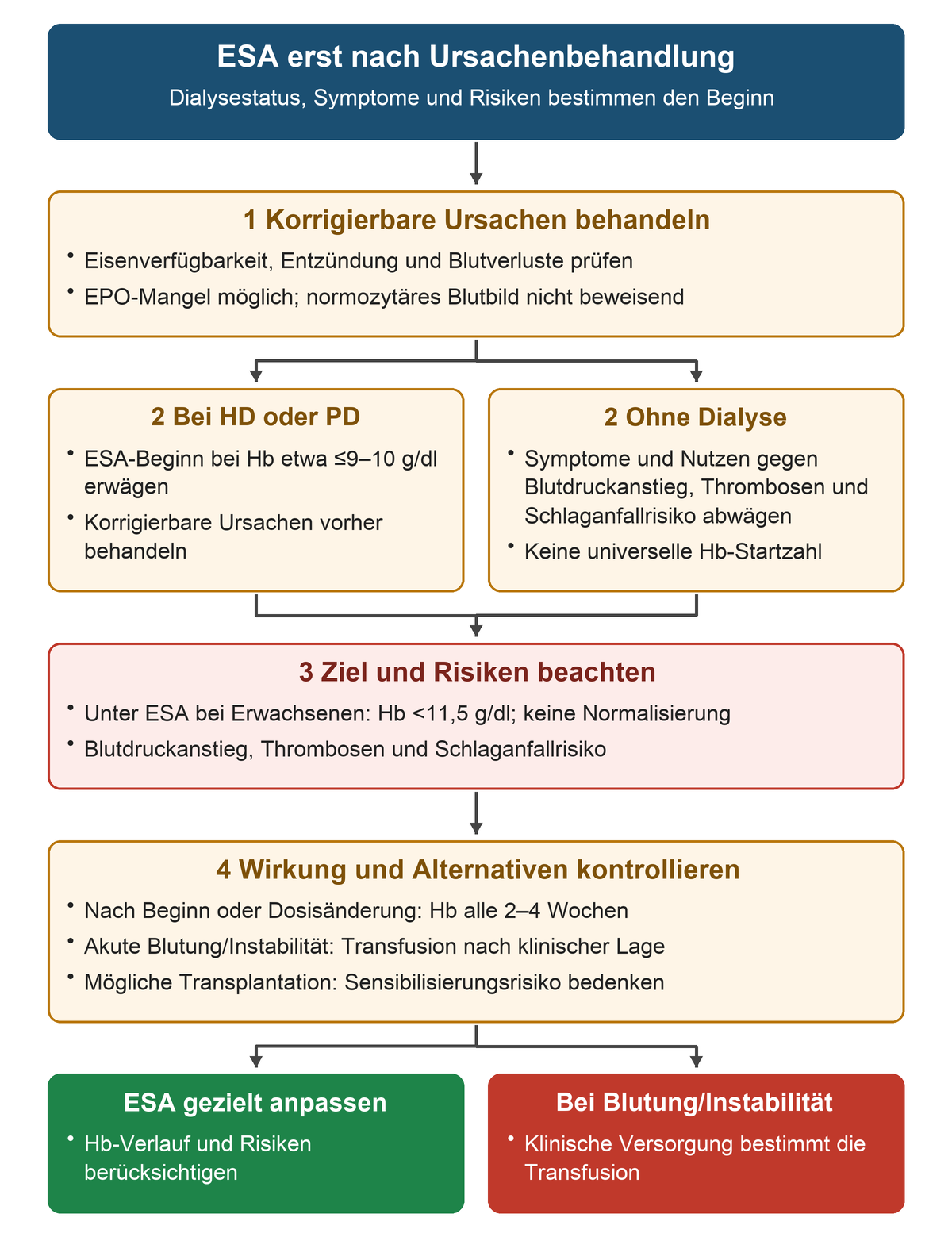 Nach Behandlung korrigierbarer Ursachen trennt sich der ESA-Beginn nach Dialysestatus; danach folgen Hb-Ziel unter 11,5 g/dl, Risiken und Kontrollen.