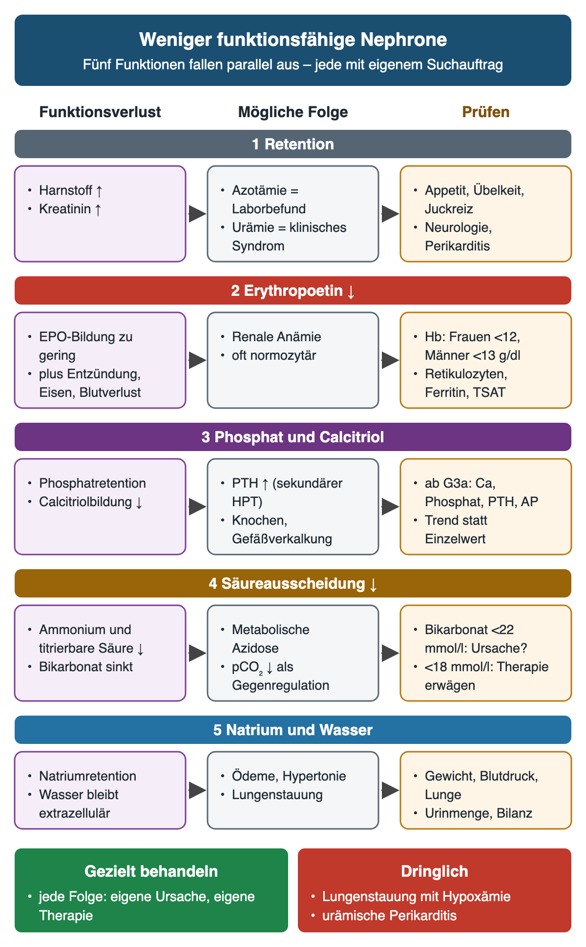 Fünf Zeilen vom Nephronverlust zur Folge: Retention zu Azotämie oder Urämie, Erythropoetinmangel zu Anämie, Phosphatretention und Calcitriolmangel zu PTH-Anstieg, verminderte Säureausscheidung zu Azidose, Natriumretention zu Ödemen und Hypertonie; rechts jeweils die passenden Kontrollen mit Grenzwerten.