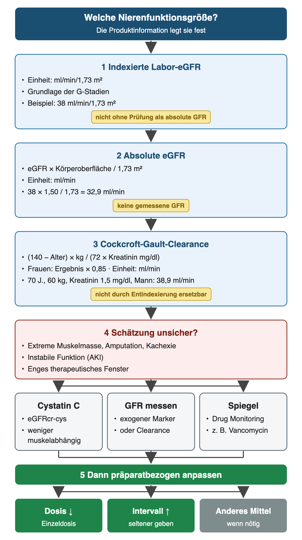 Drei untereinander stehende Funktionsgrößen mit Einheit, Formel und Beispiel: indexierte eGFR, absolute eGFR und Cockcroft-Gault-Clearance; bei unsicherer Schätzung folgen Cystatin C, GFR-Messung oder Spiegelbestimmung, dann die präparatbezogene Anpassung.