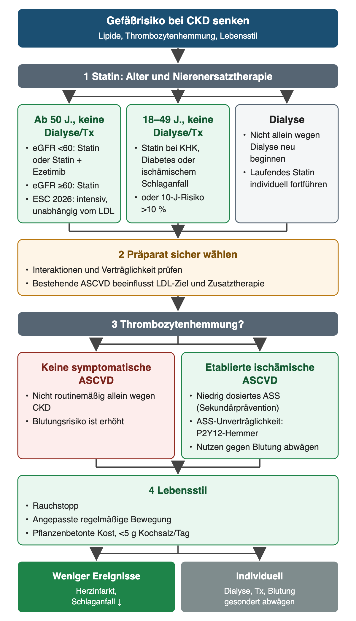 Entscheidungsweg zum Gefäßschutz: Statinindikation nach Alter und Nierenersatztherapie in drei Spalten, sichere Präparatewahl, Thrombozytenhemmung nur bei etablierter ischämischer Gefäßerkrankung und Lebensstil.