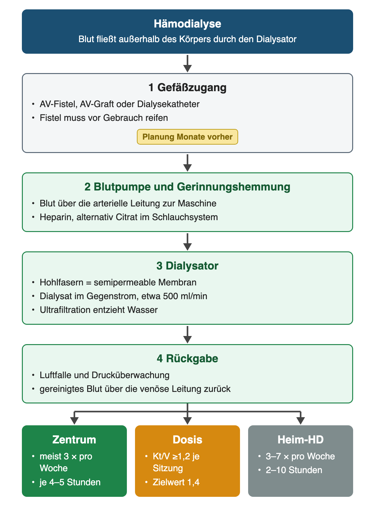 Ablauf der Hämodialyse von Gefäßzugang über Blutpumpe mit Gerinnungshemmung und Dialysator bis zur Rückgabe des Blutes; unten Zentrumsdialyse, Dialysedosis und Heimhämodialyse mit Zahlen.