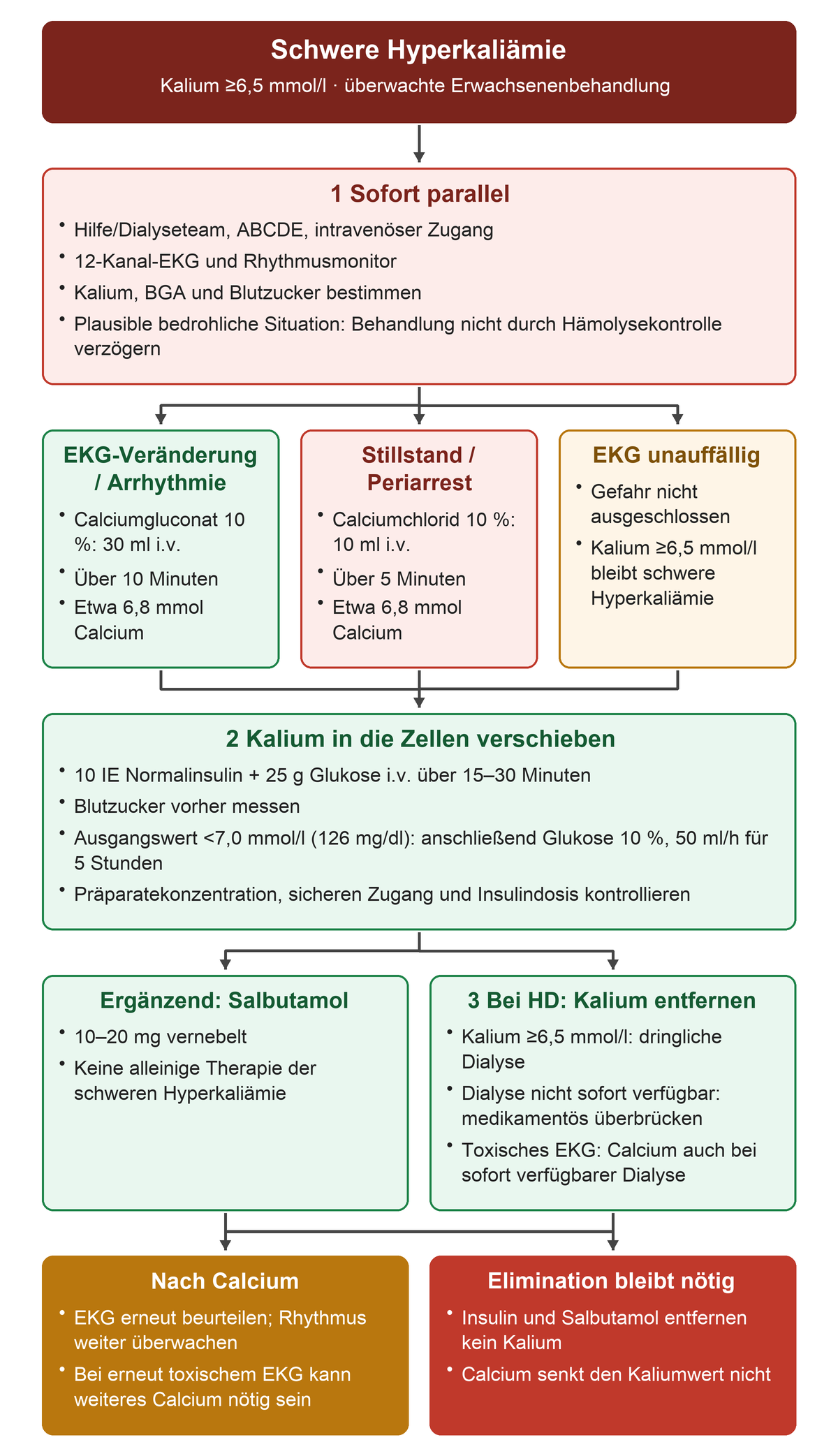 Bei schwerer Hyperkaliämie laufen Hilfe, EKG und Labor parallel; der EKG- und Kreislaufbefund bestimmt den Calciumweg, Insulin und Salbutamol überbrücken bis zur Kaliumelimination durch dringliche Hämodialyse.