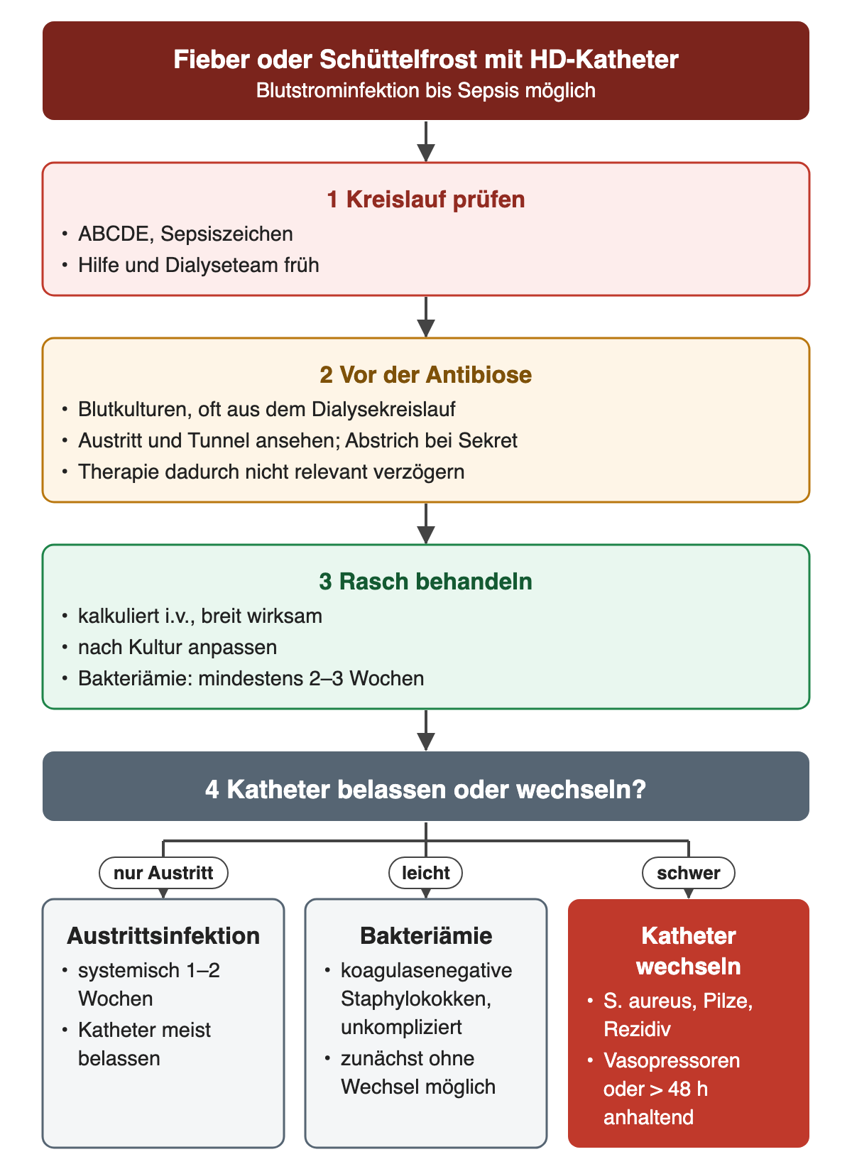 Fieber mit HD-Katheter: Kreislauf prüfen, Blutkulturen und Austrittsbefund vor der Antibiose, rasche kalkulierte Therapie über mindestens 2–3 Wochen, dann Entscheidung über Belassen oder Wechsel des Katheters nach Schweregrad.