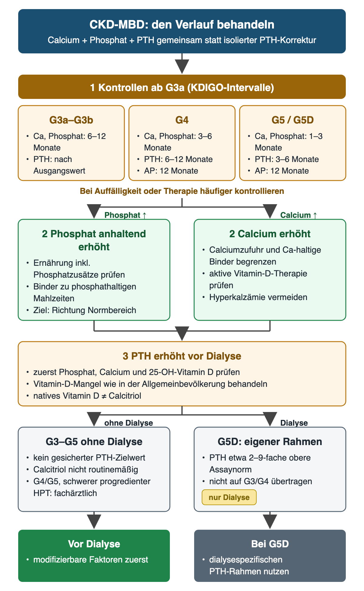 Oben die KDIGO-Kontrollintervalle für G3a–G3b, G4 und G5/G5D; darunter Maßnahmen bei erhöhtem Phosphat oder Calcium, Prüfung bei erhöhtem PTH vor Dialyse und getrennte PTH-Rahmen ohne Dialyse und bei G5D.