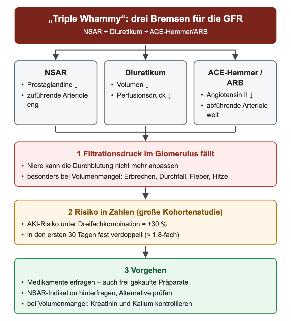 Drei Kästen – NSAR verengen die zuführende Arteriole, Diuretika senken das Volumen, ACE-Hemmer oder ARB erweitern die abführende Arteriole – münden in einen fallenden glomerulären Filtrationsdruck, das Risiko in Zahlen und das praktische Vorgehen.