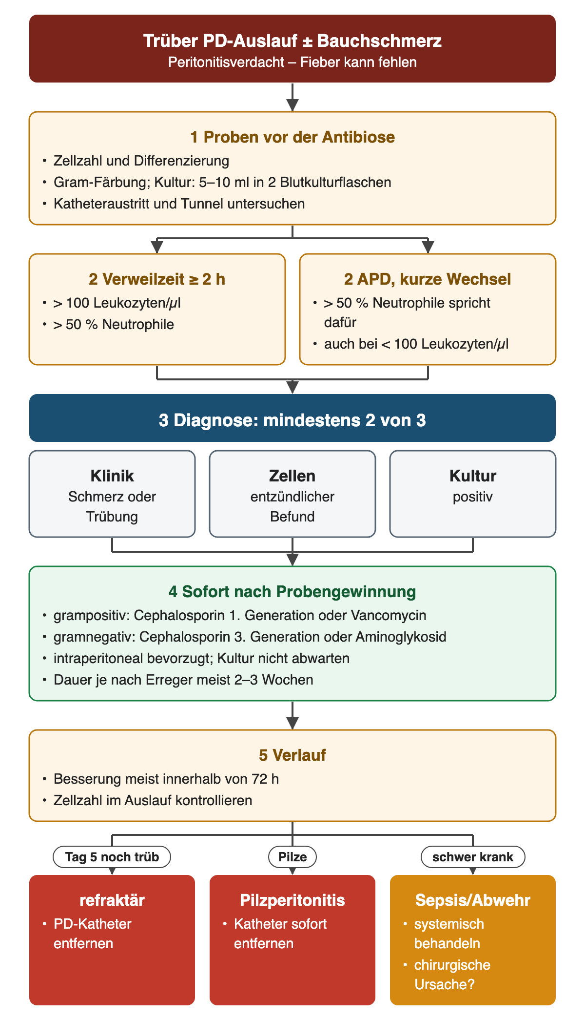 Trüber PD-Auslauf: Proben mit 5–10 ml in Blutkulturflaschen, Zellgrenzen nach mindestens 2 Stunden Verweilzeit und bei APD, Diagnose aus mindestens zwei von drei Kriterien, empirische Antibiose mit Substanzklassen und Dauer, Verlauf über 72 Stunden; unten refraktäre Peritonitis nach 5 Tagen, Pilzperitonitis und schwere Krankheit.