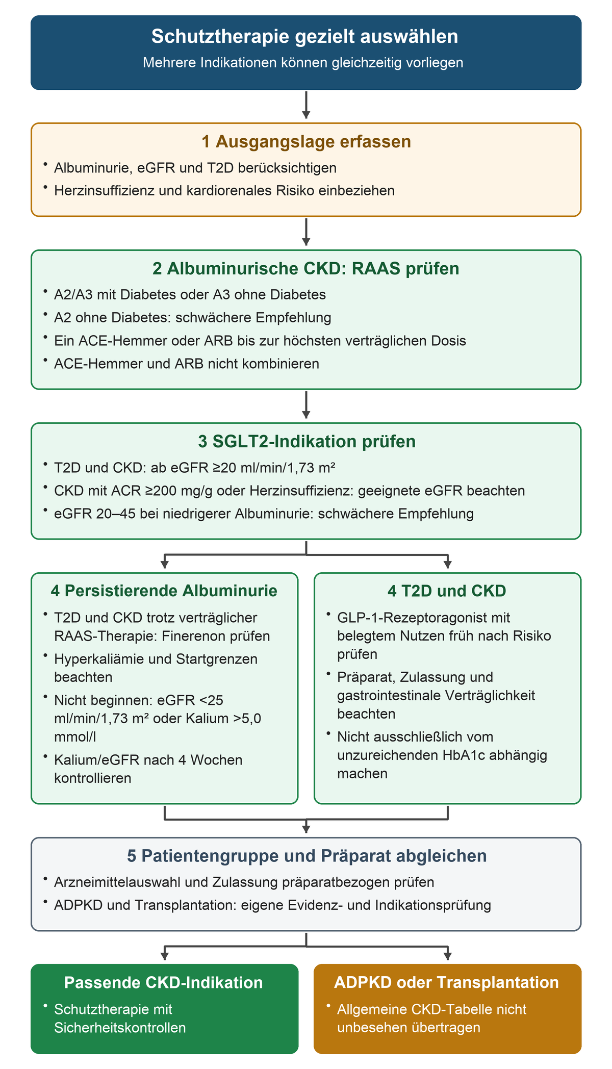 Von Albuminurie, Diabetes und Nierenfunktion führt die Prüfung über RAAS- und SGLT2-Hemmung zu zusätzlichen Optionen; ADPKD und Transplantation verlangen eine eigene Indikationsprüfung.