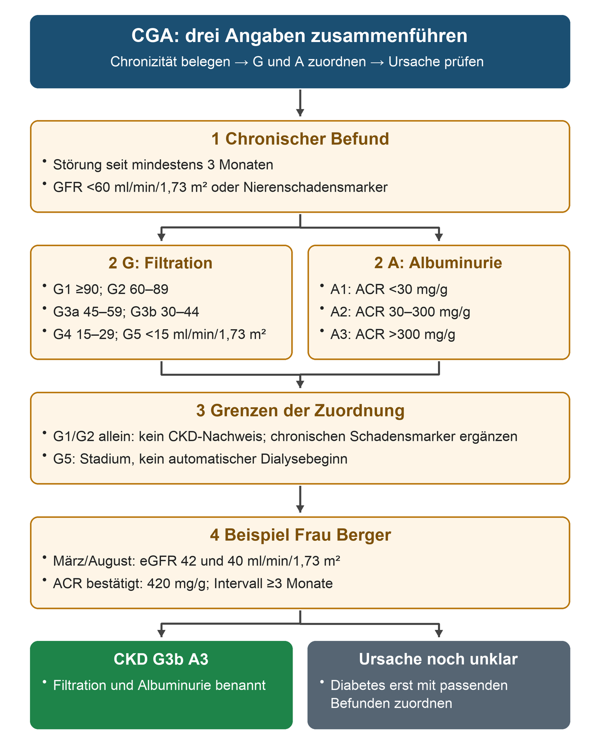 Von der mindestens dreimonatigen Störung über GFR- und ACR-Kategorien zum Beispiel Frau Berger mit CKD G3b A3 und noch offener Ursache.